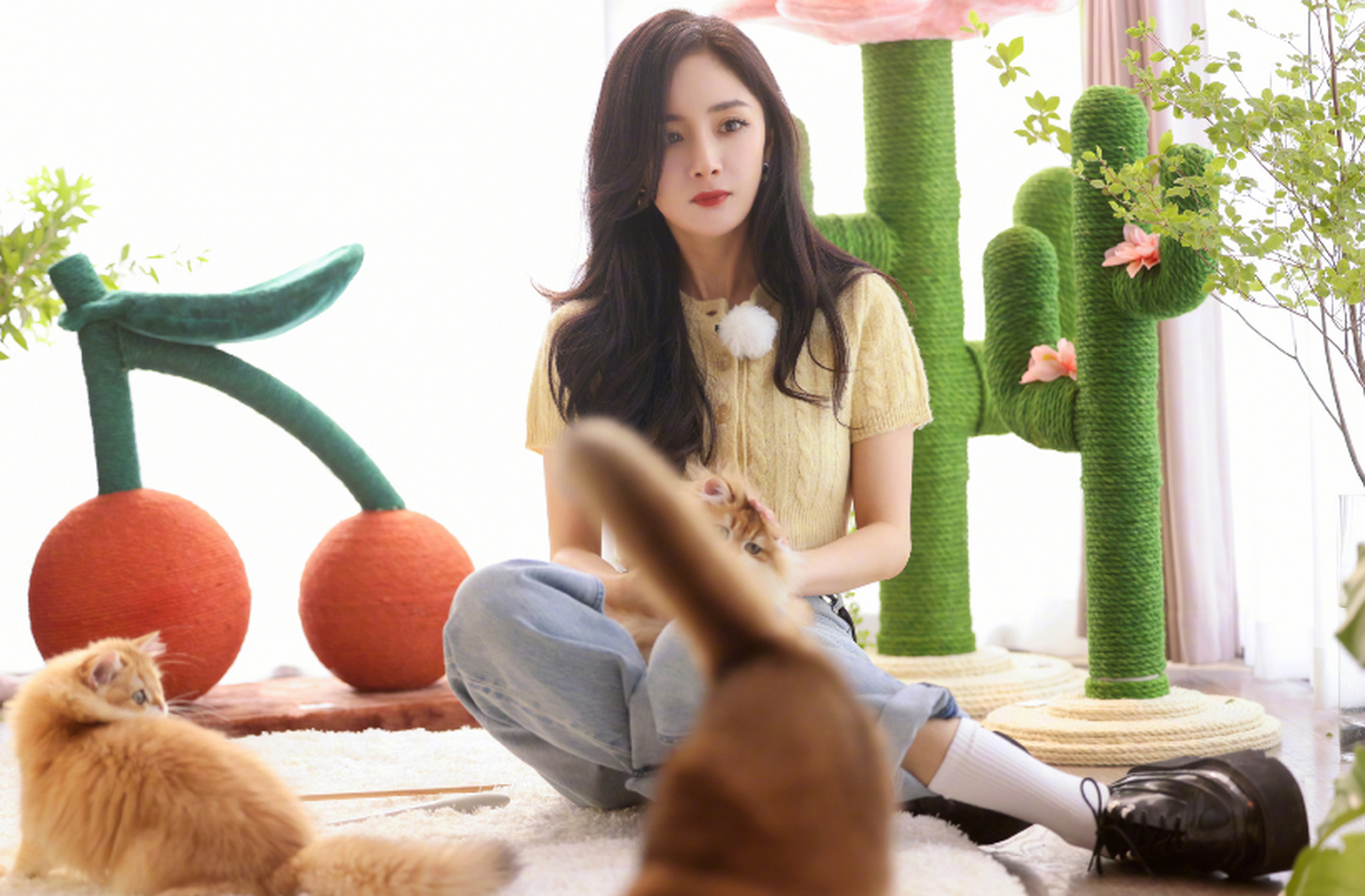 杨幂新年美照曝光 穿针织衣抱猫咪超温柔