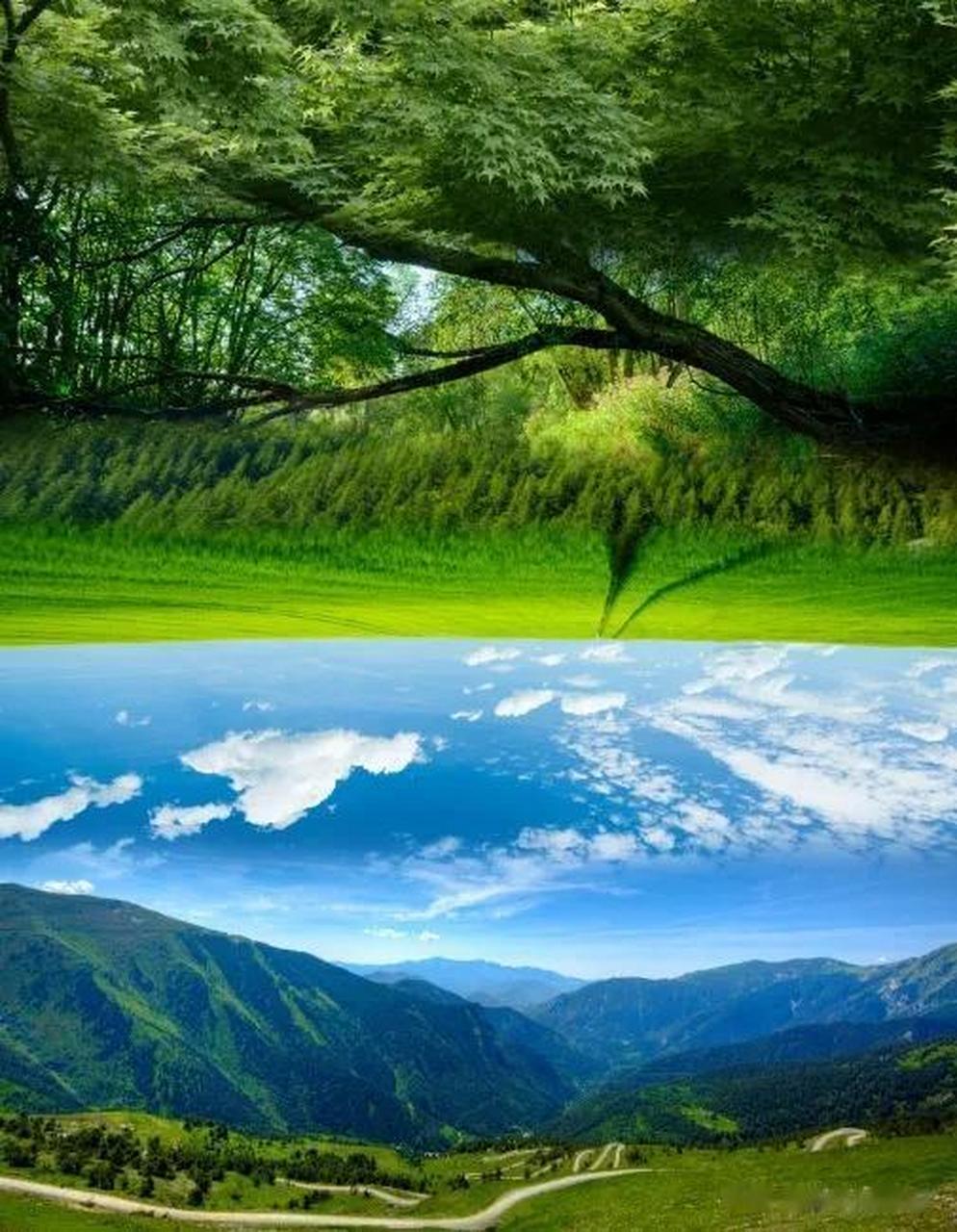 照相是很有意义的事,照片所留给我们的时间概念,是独一无二的.