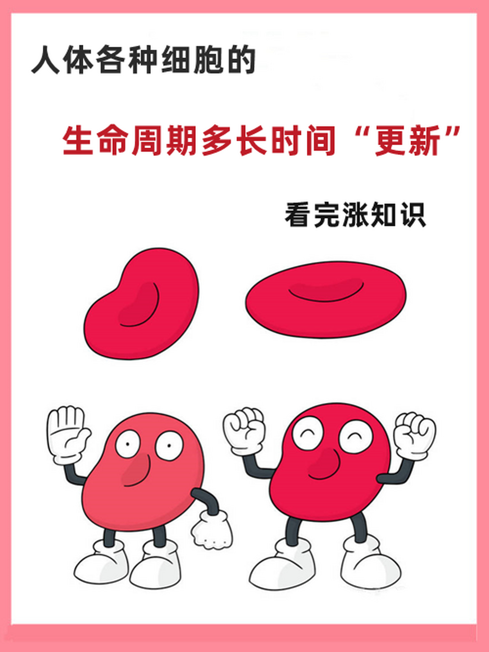 人体各种细胞的生命周期多长时间"更新"?