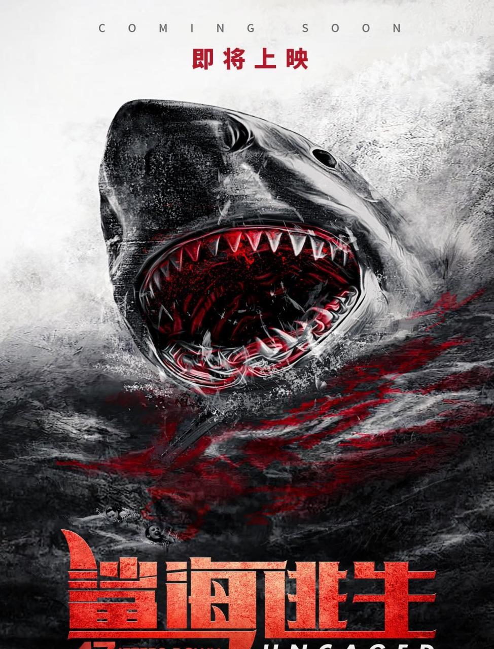 《鲨海逃生》:小成本电影带来的大惊喜,美女和鲨鱼更配哦