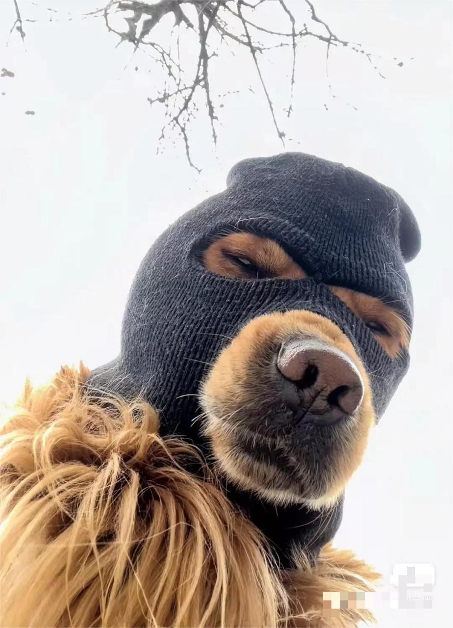 准备去干一票大的,有没有一起的,自备头套.