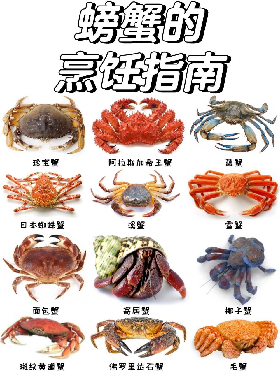 螃蟹的种类那么多,你会做吗71