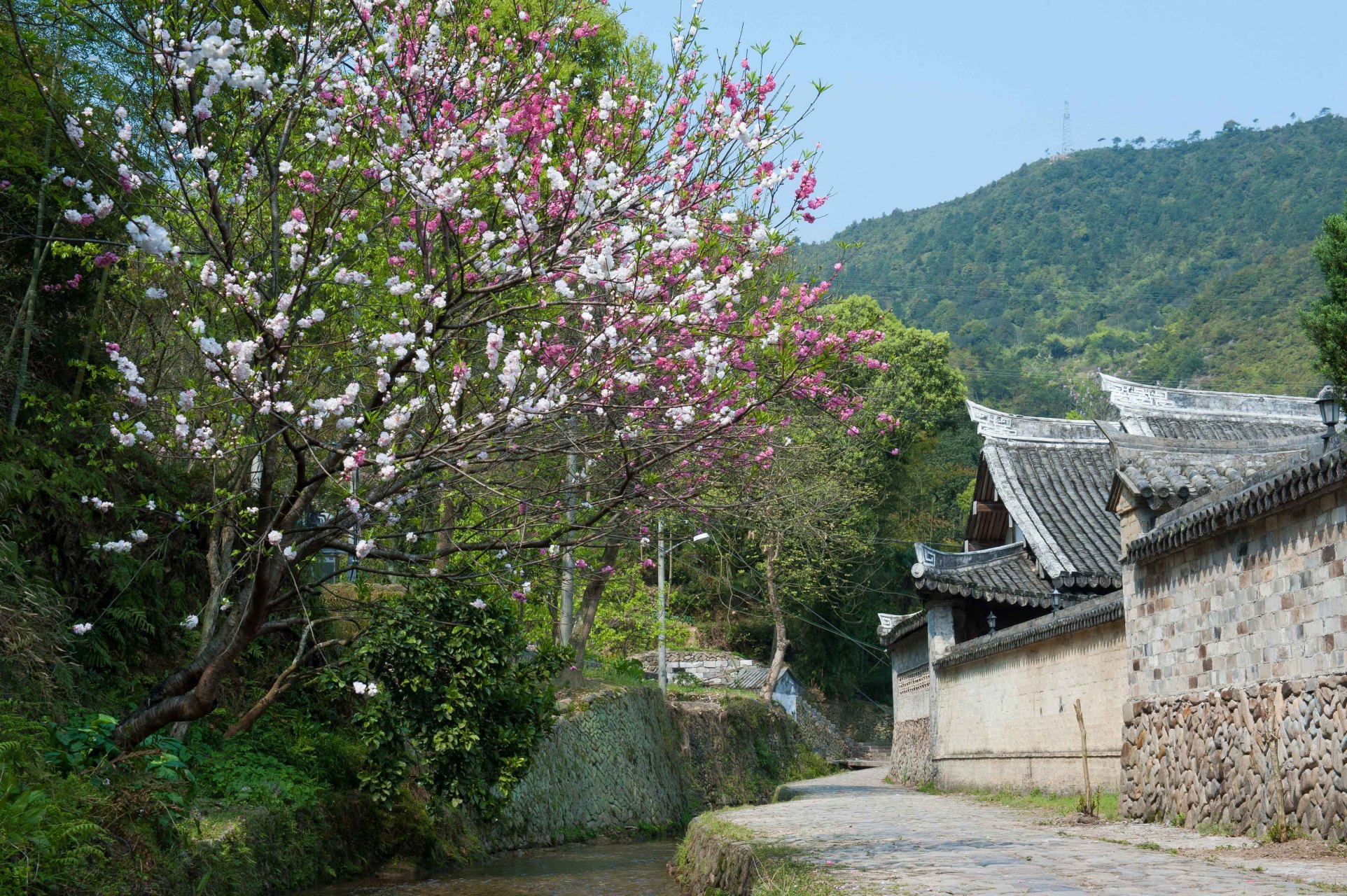 春天的楠溪江岩头村,在苍古之中,透出浓郁的春意.