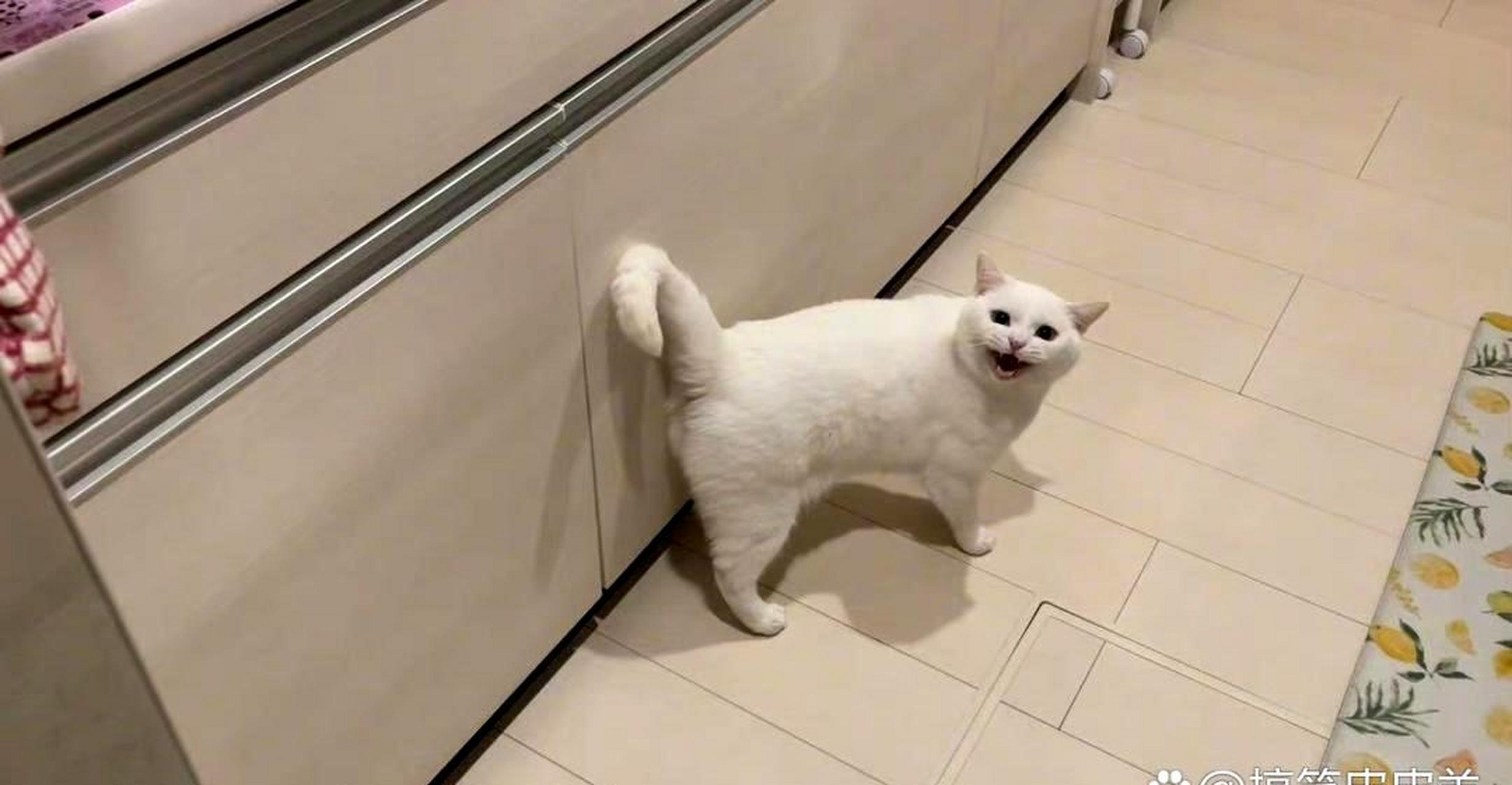 两年前和两年后,是一个有趣的时间对比.