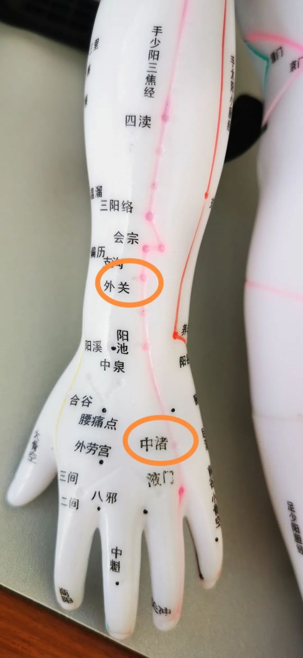 首先来看看股骨头所在的位置,股骨头在大腿根部髋关节的位置,在六经