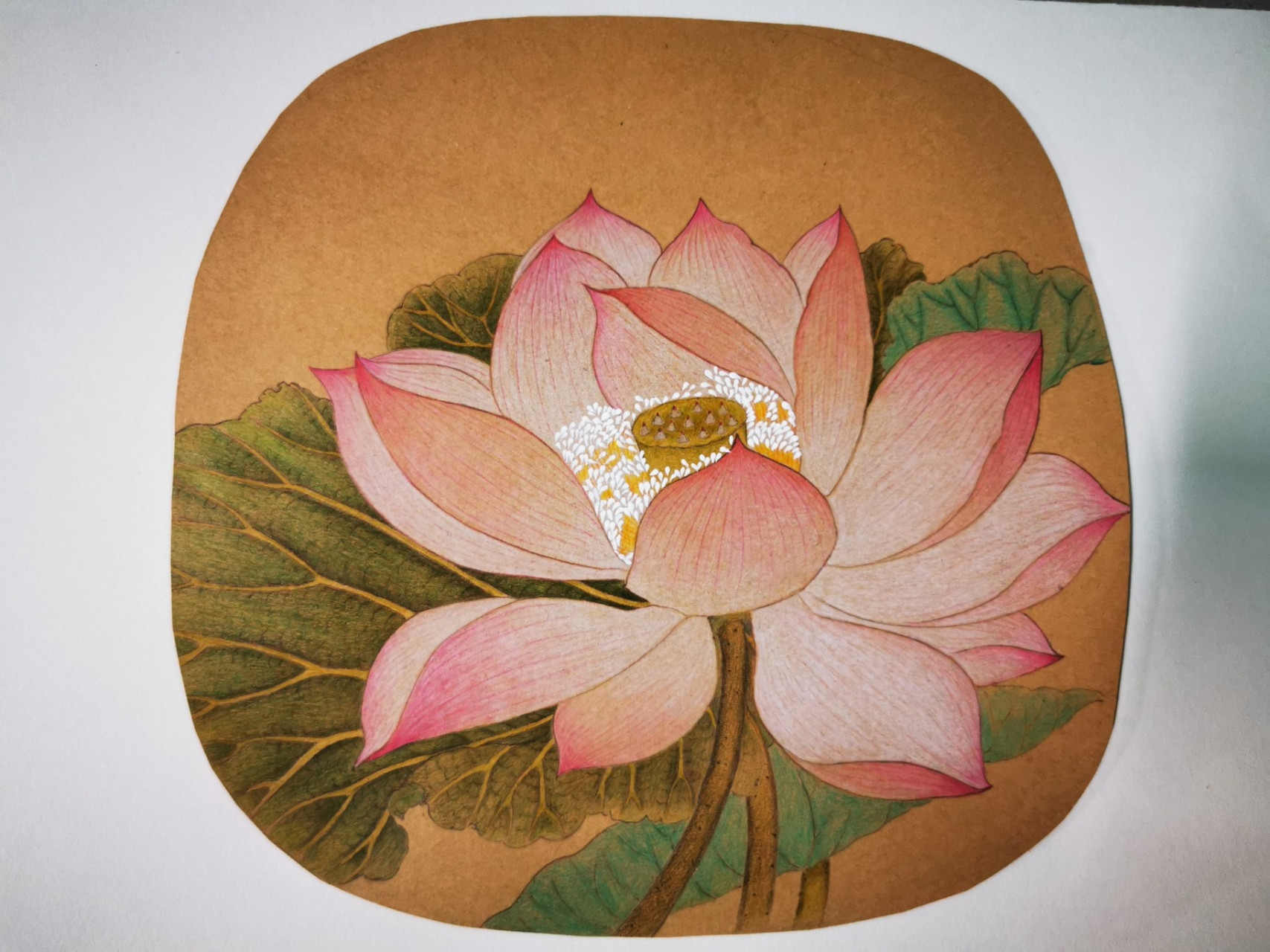 彩鉛–臨摹宋畫小品《出水芙蓉圖》 用彩鉛臨摹工筆畫,純屬自己瞎琢磨