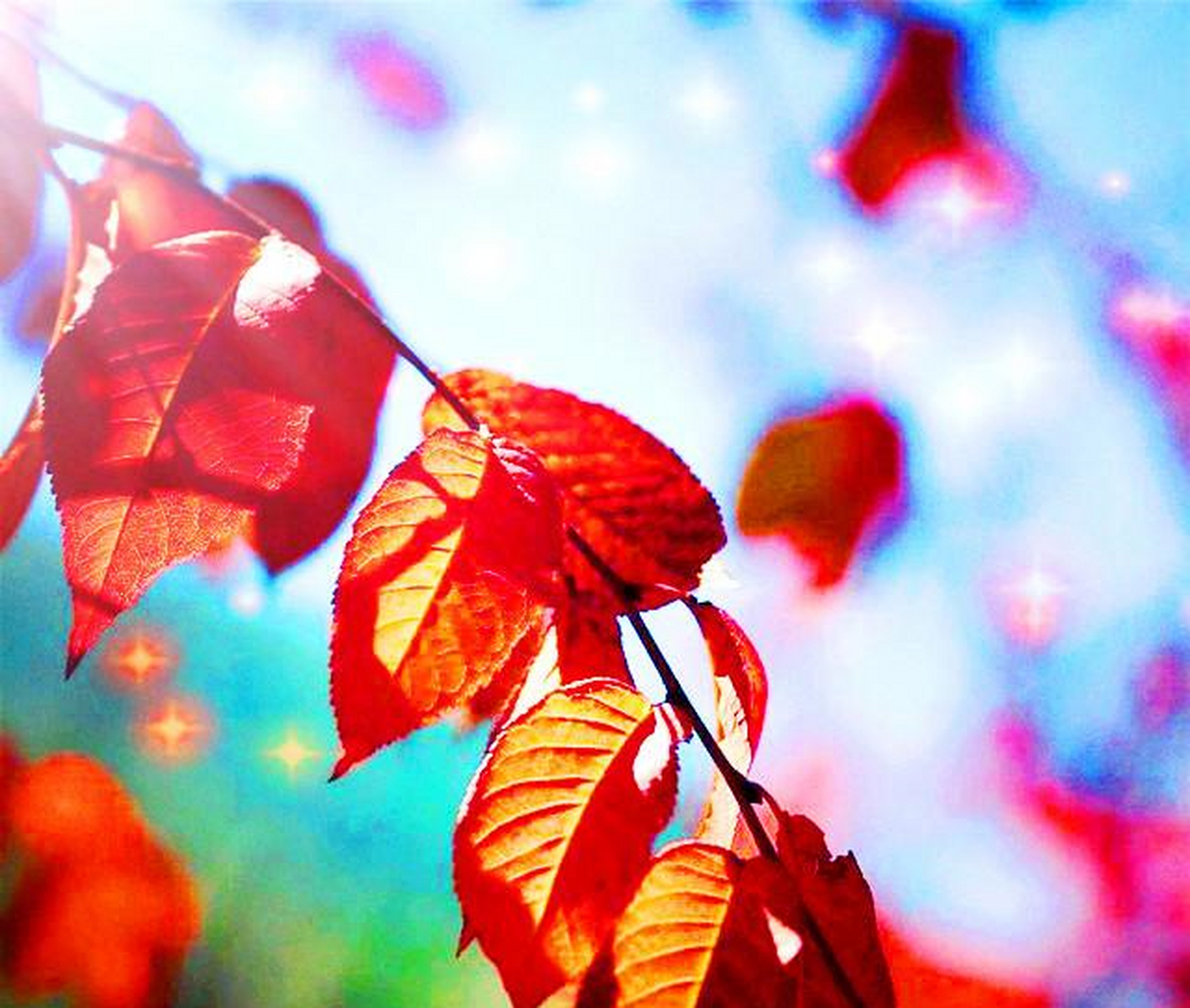 白龙鱼服:很久很久以前 白龙鱼服:很久很久以前,传说有一条白龙下到了