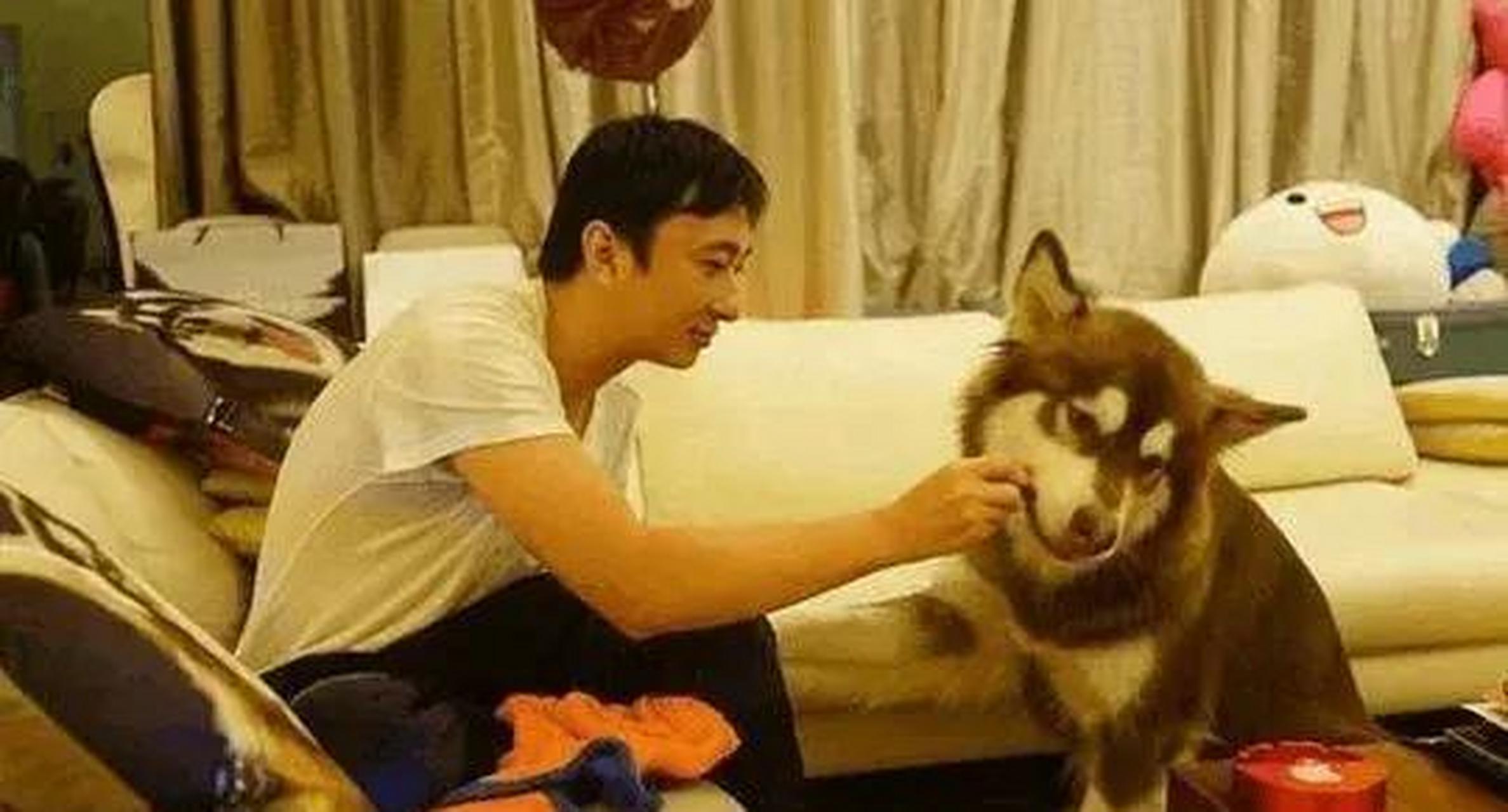 王思聪身家约60亿,他养了一条阿拉斯加犬,名字叫王乐乐,这只狗的每餐