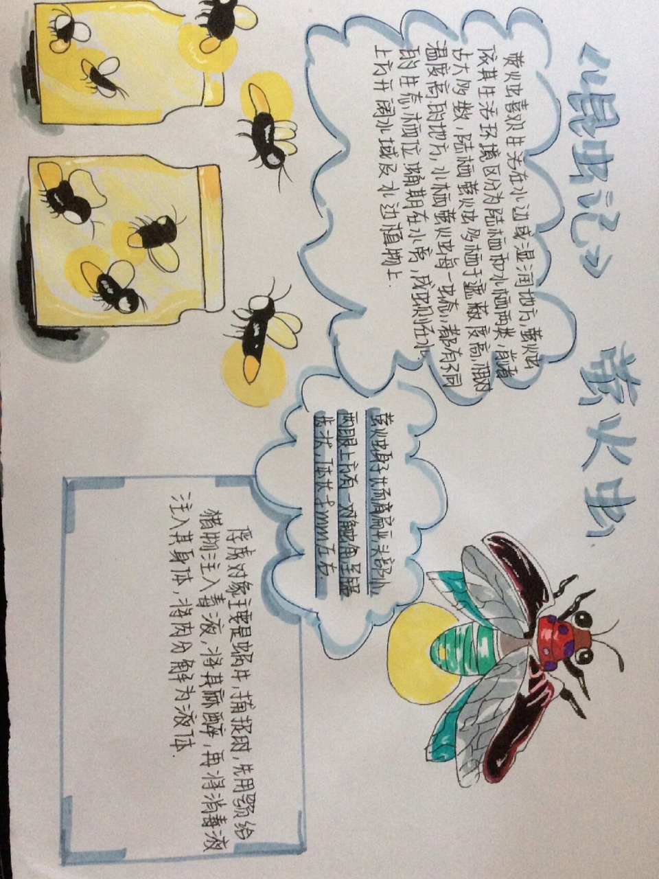昆虫记萤火虫知识点昆虫记萤火虫知识点
