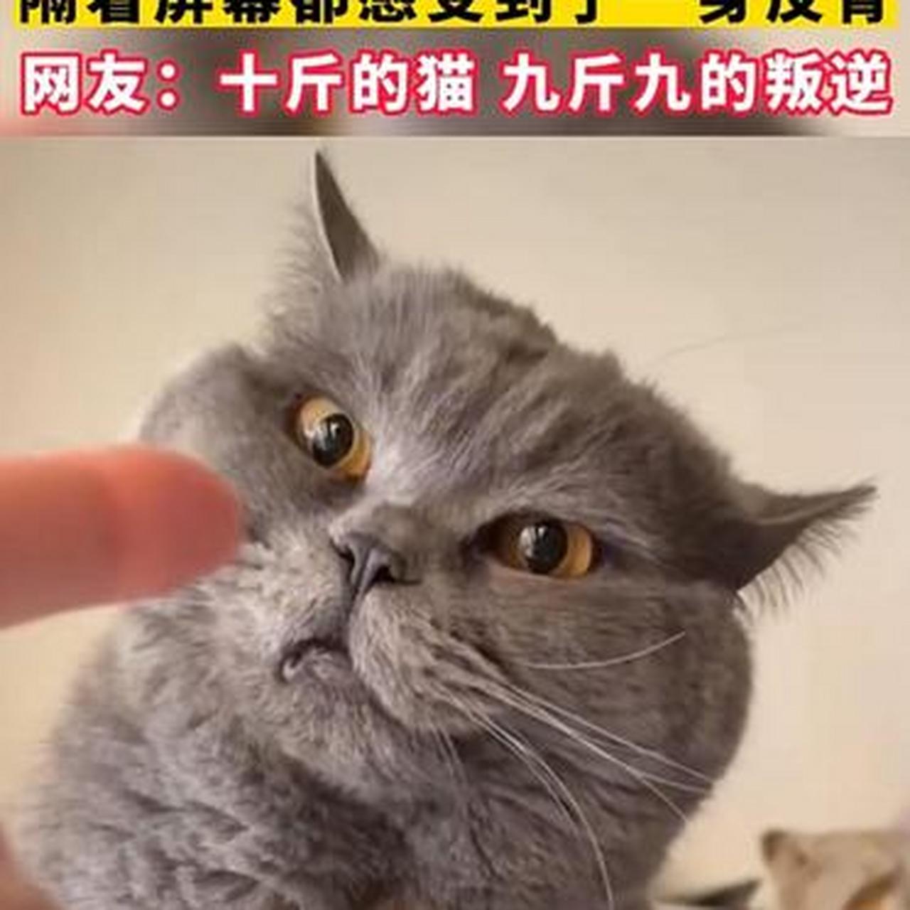 来啊,你过来啊