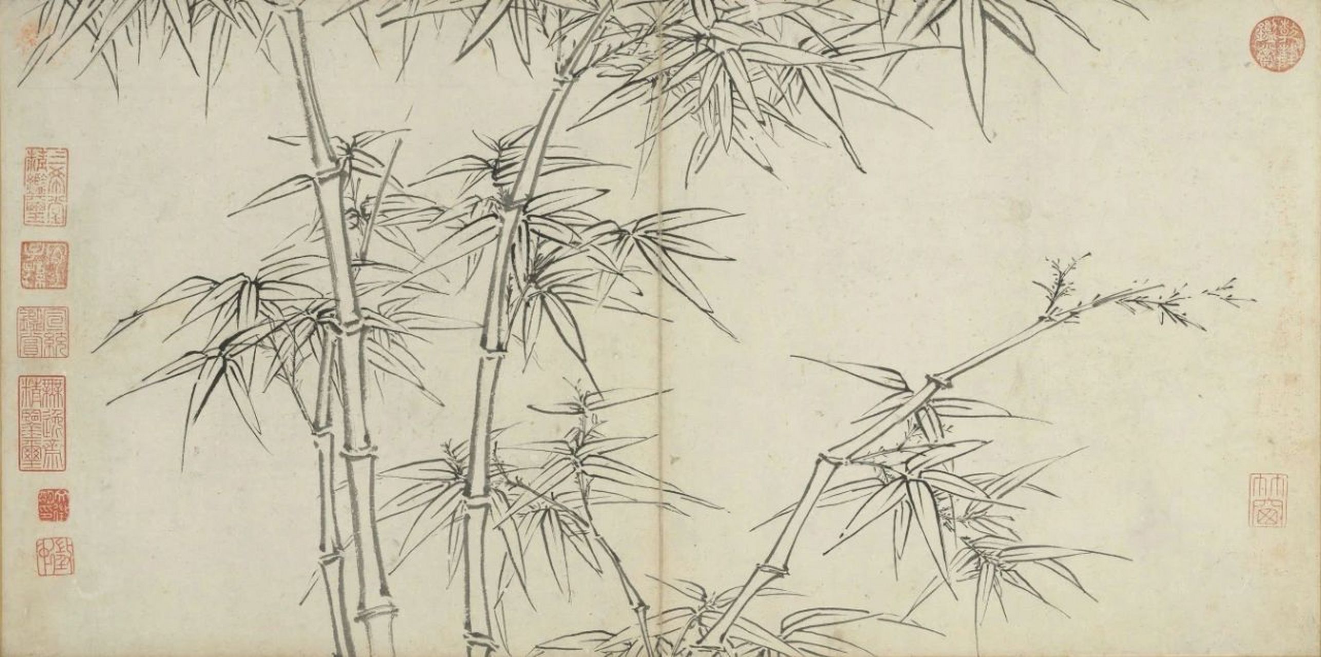 文征明 | 墨竹册 画竹聊写胸中逸气,不必辨其似与非.