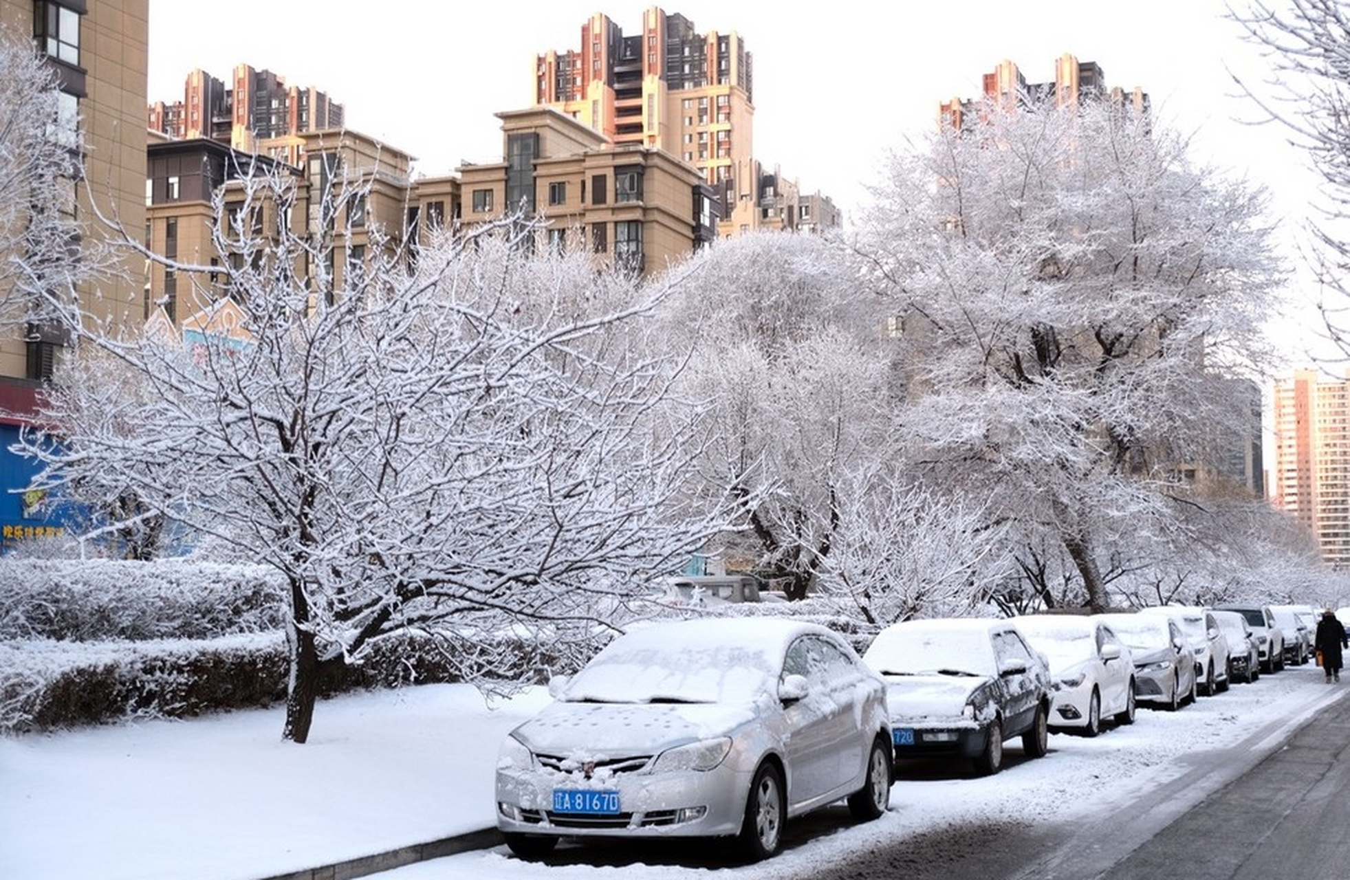 城市下雪图片 真实图片