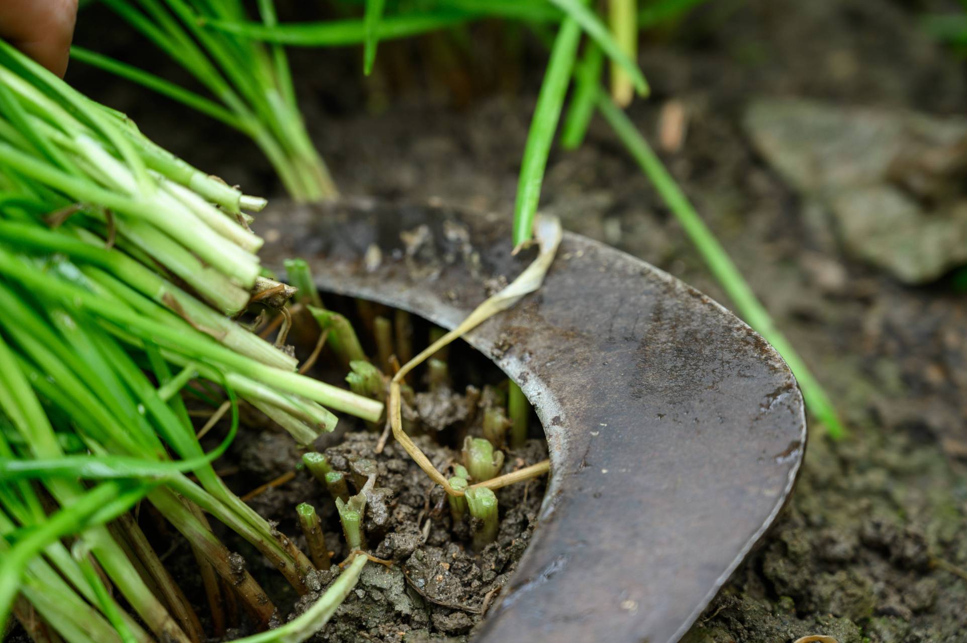 网上股神# 印度严查"网上股神"!