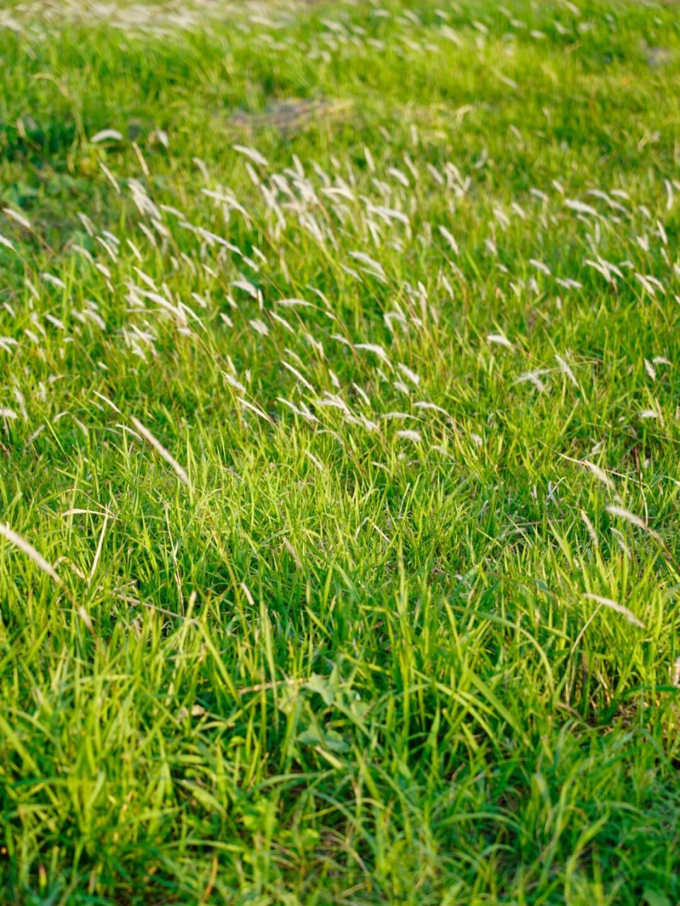 丰梅岭水库,秋天徒步  随着秋意渐渐浓厚,我们趁着明媚的天气与好友