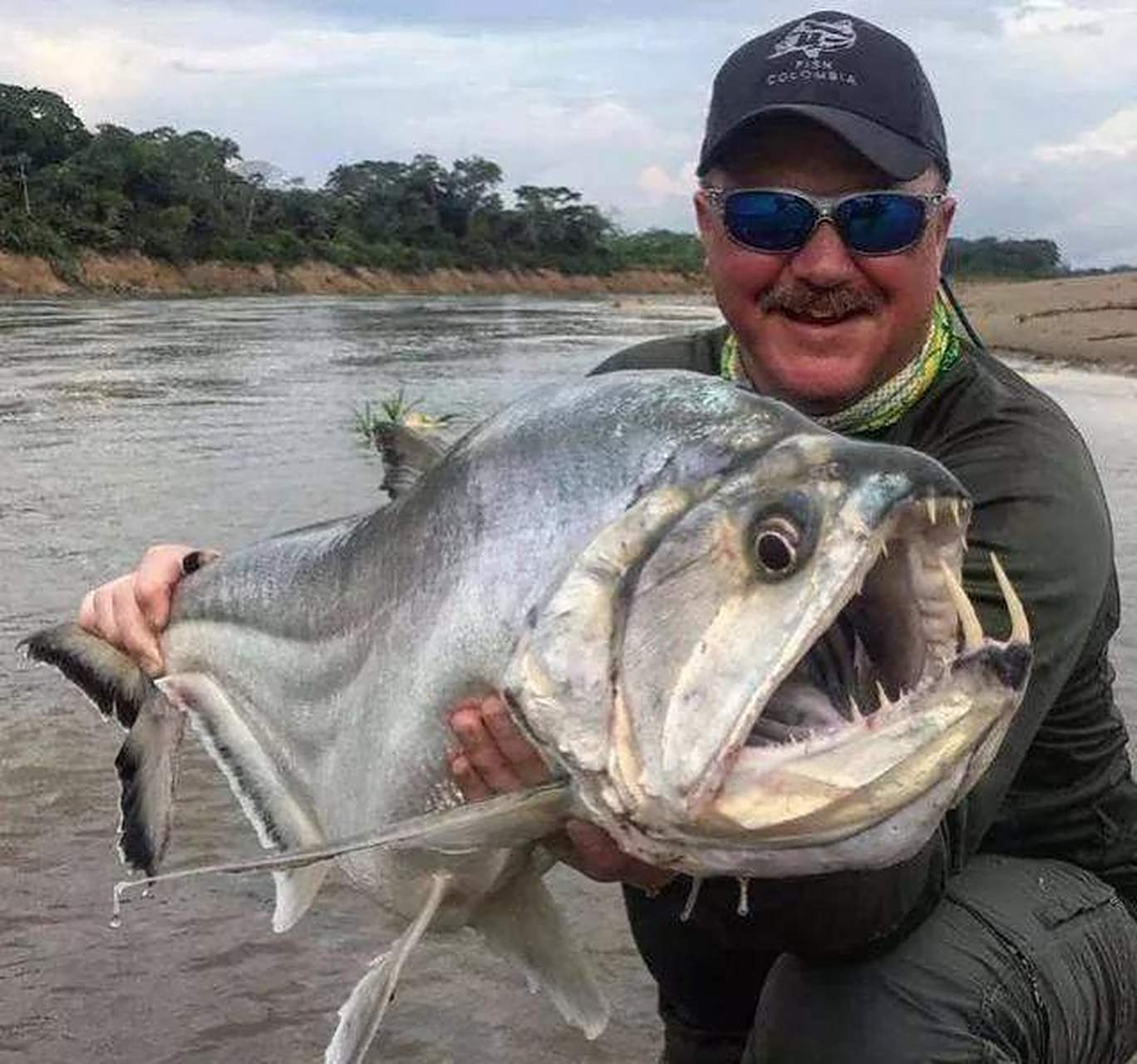 世界上长相最可怕的动物当属吸血鬼鱼了,其长相实在