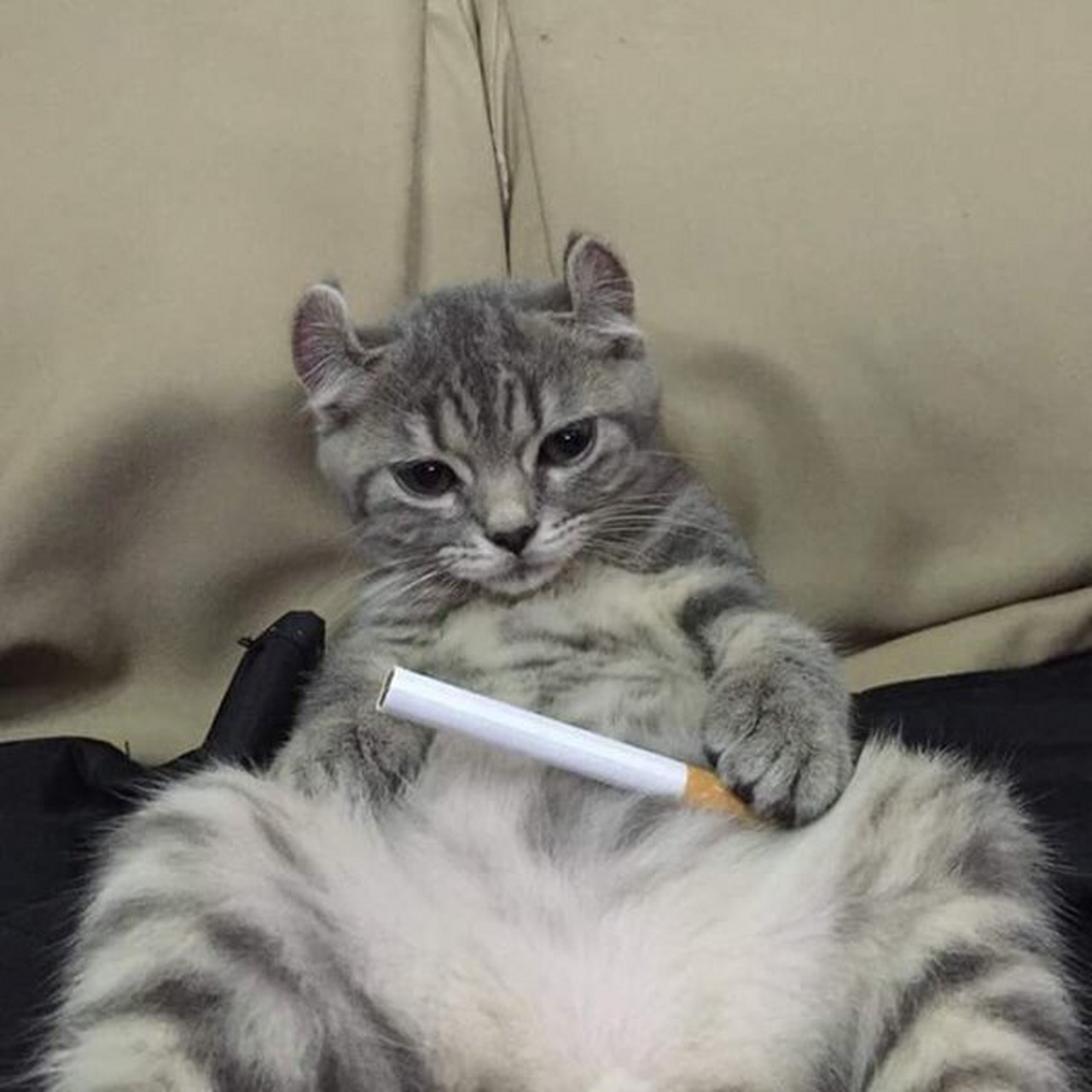 一言不合就开始抽烟.   #搞笑