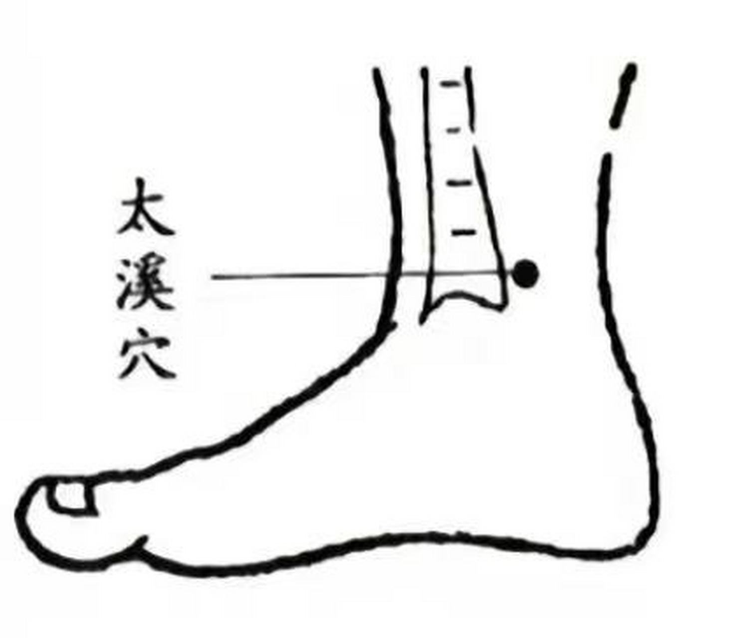 分享两个穴位:鱼际穴,太溪穴,有效改善嗓子干咳等症状 由于肾阴不足
