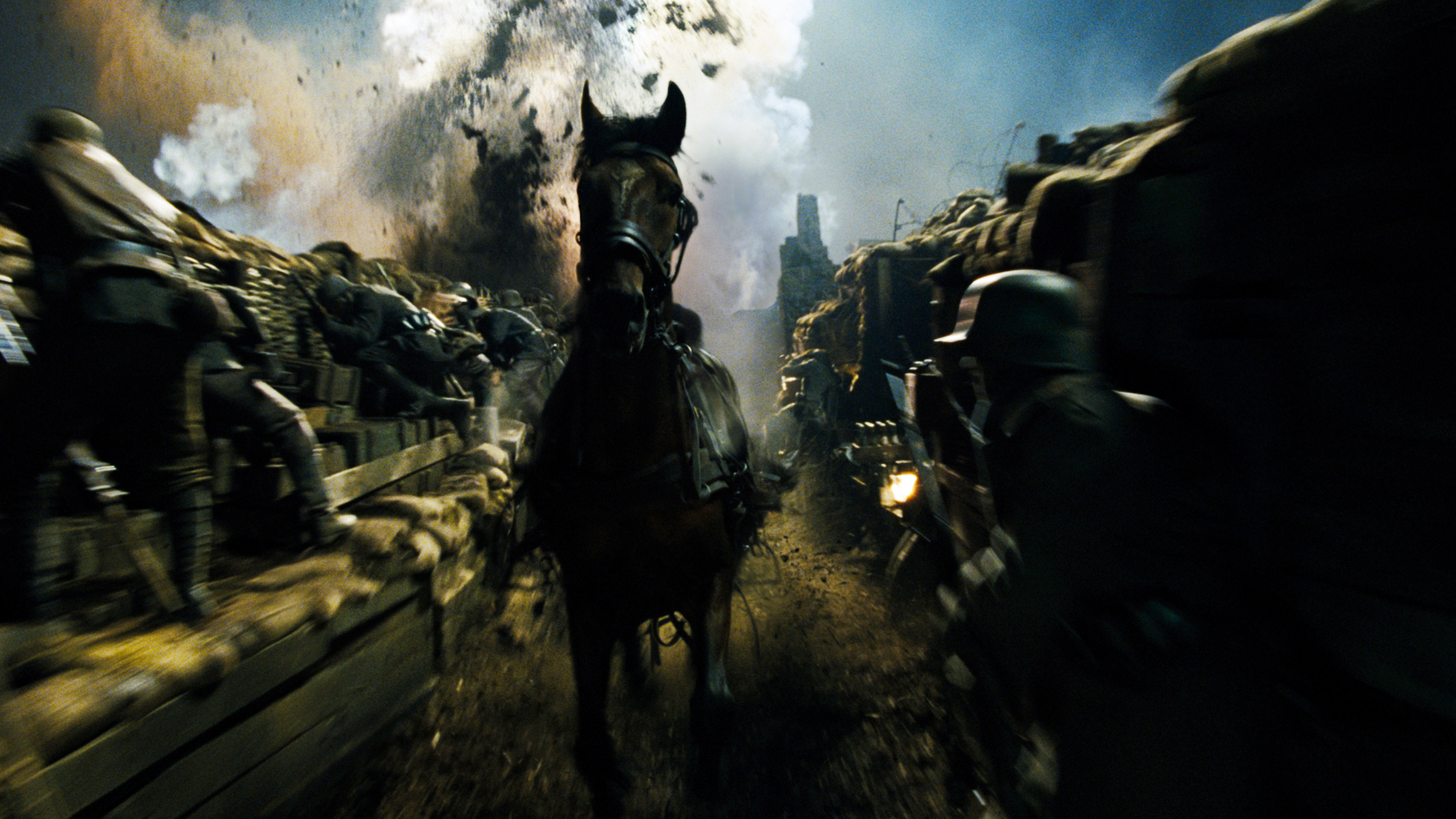 推荐一部一战电影《战马》至少我看的入神了.