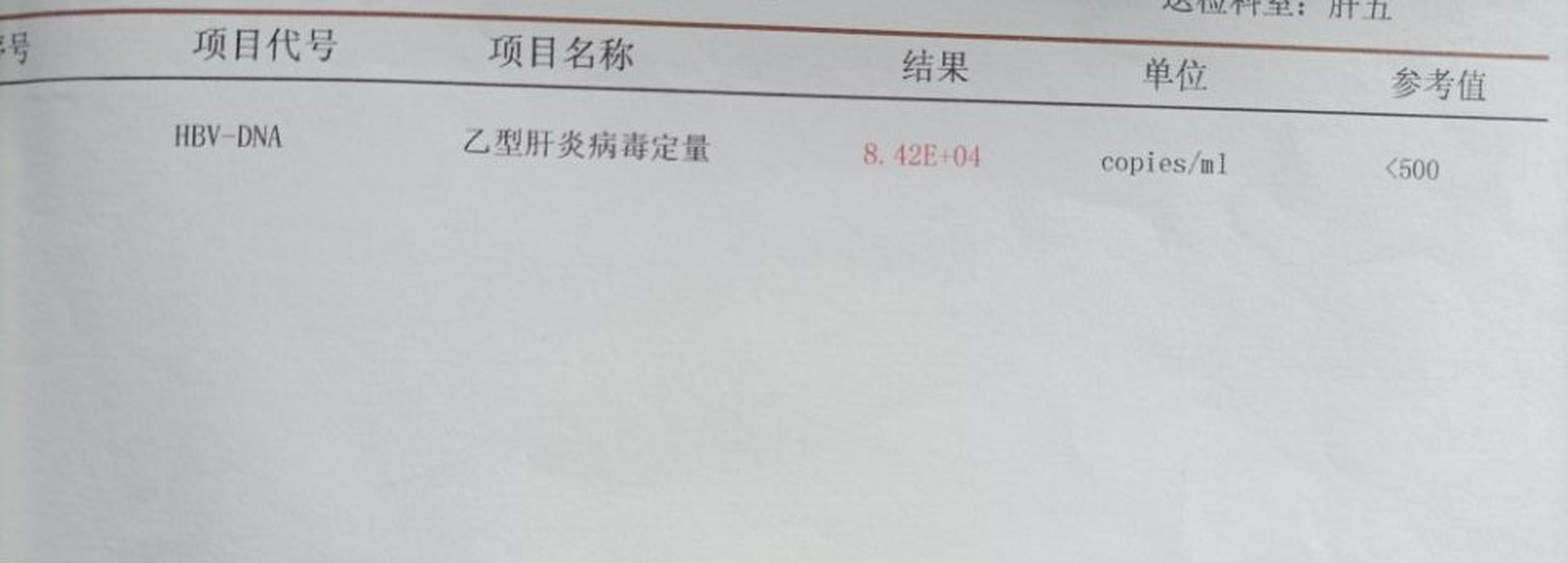 乙肝病毒定量检测4.91e 04什么意思.乙肝病毒dna定量的检测结果是4.