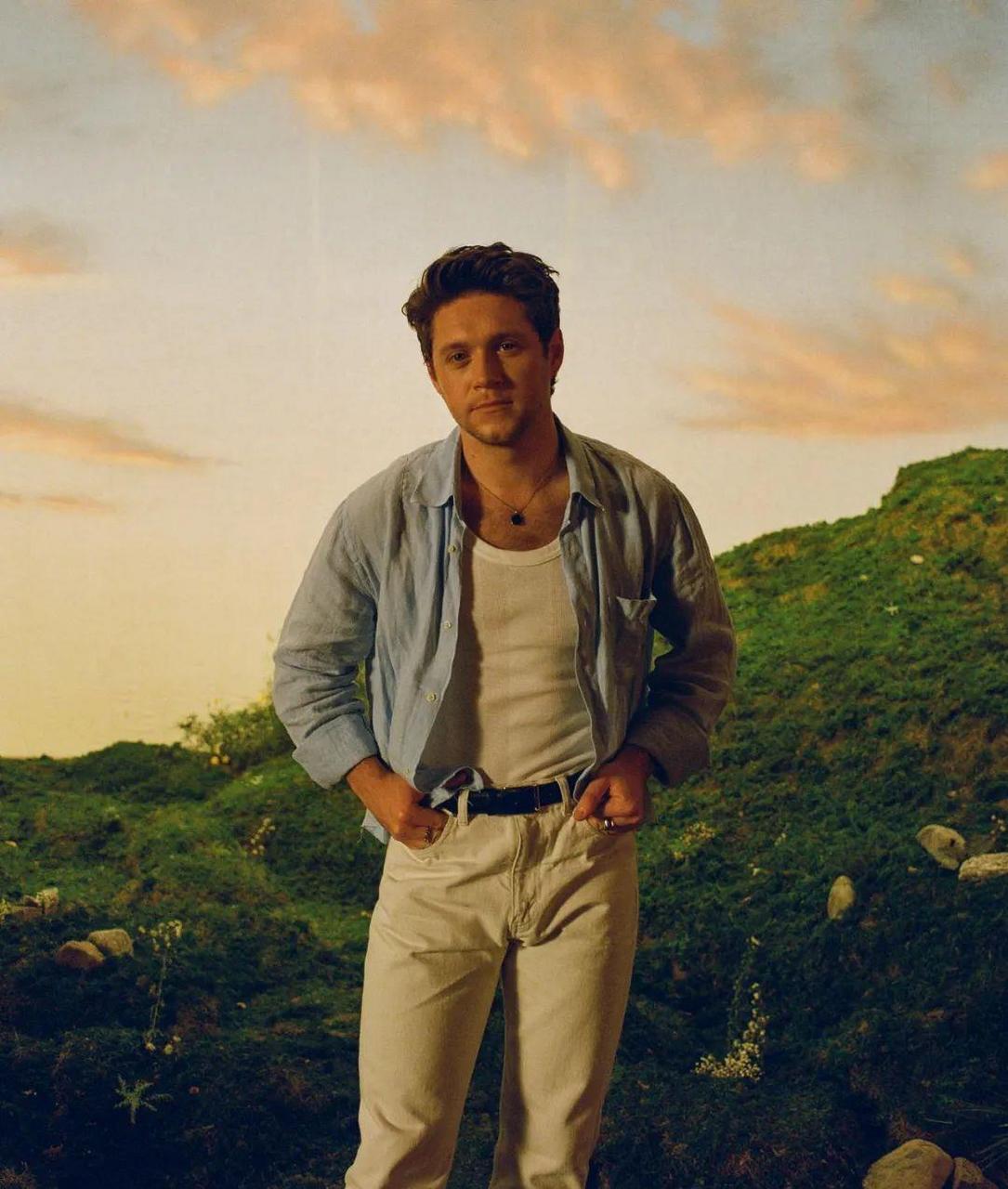 来自爱尔兰的温暖治愈系男歌手"奶儿" niall horan(尼尔·霍兰)全新