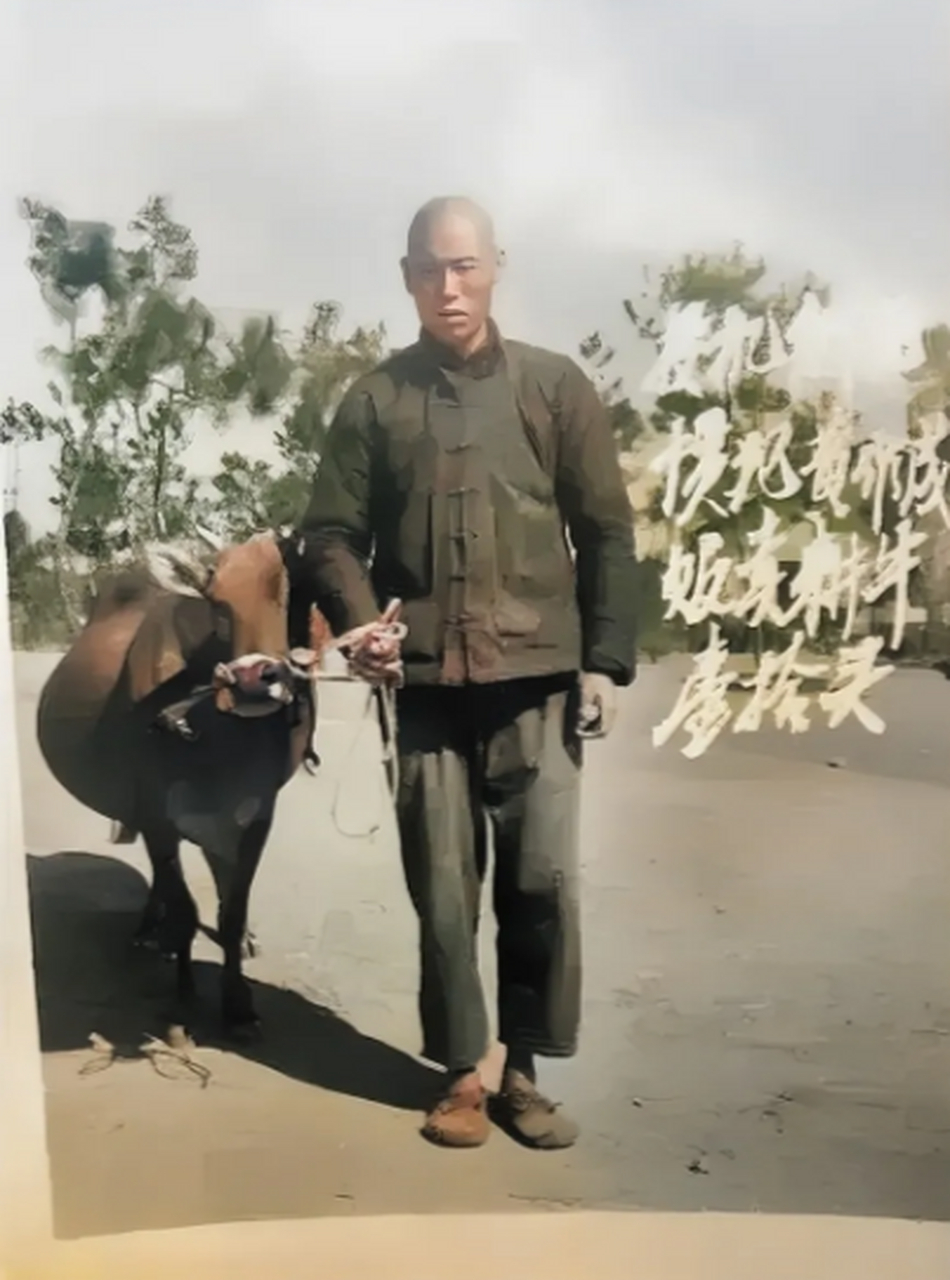 上世纪60年代,一名"投机倒把"分子,因为贩卖耕牛,被人赃并获,这是他