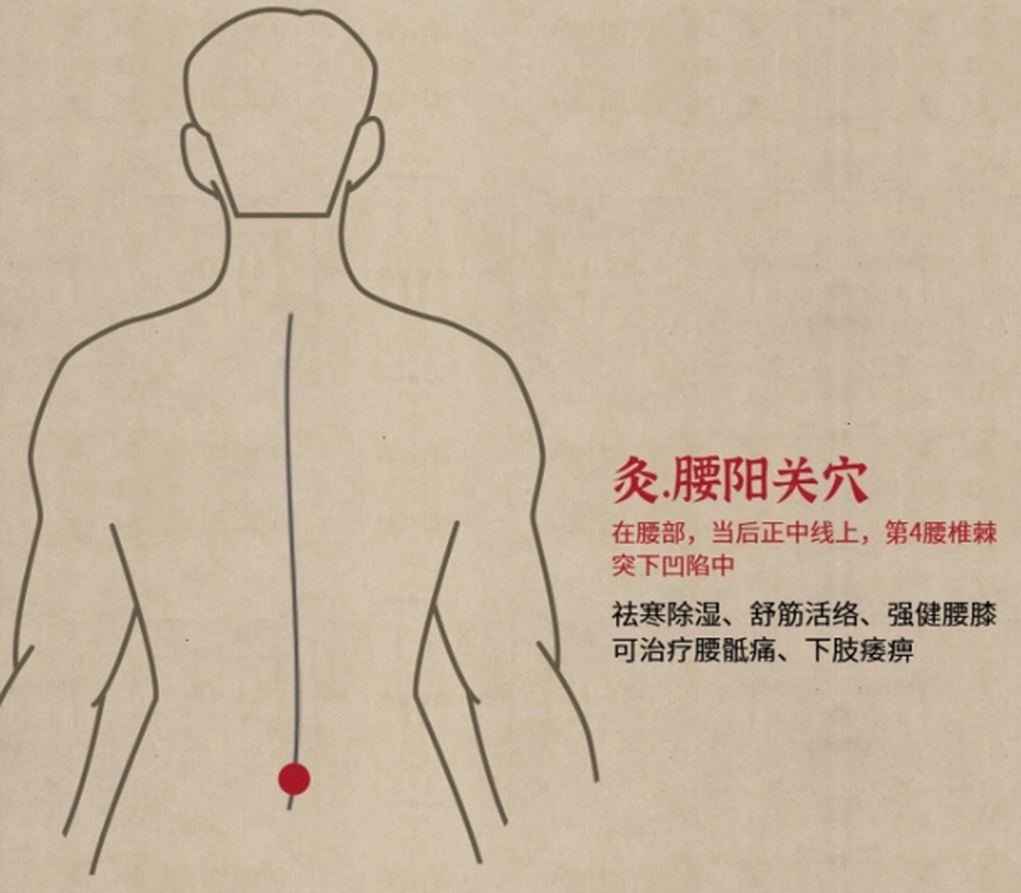 关即机关,督脉为阳,穴属督脉;位于腰部转动处,如腰之机关,故名腰阳关