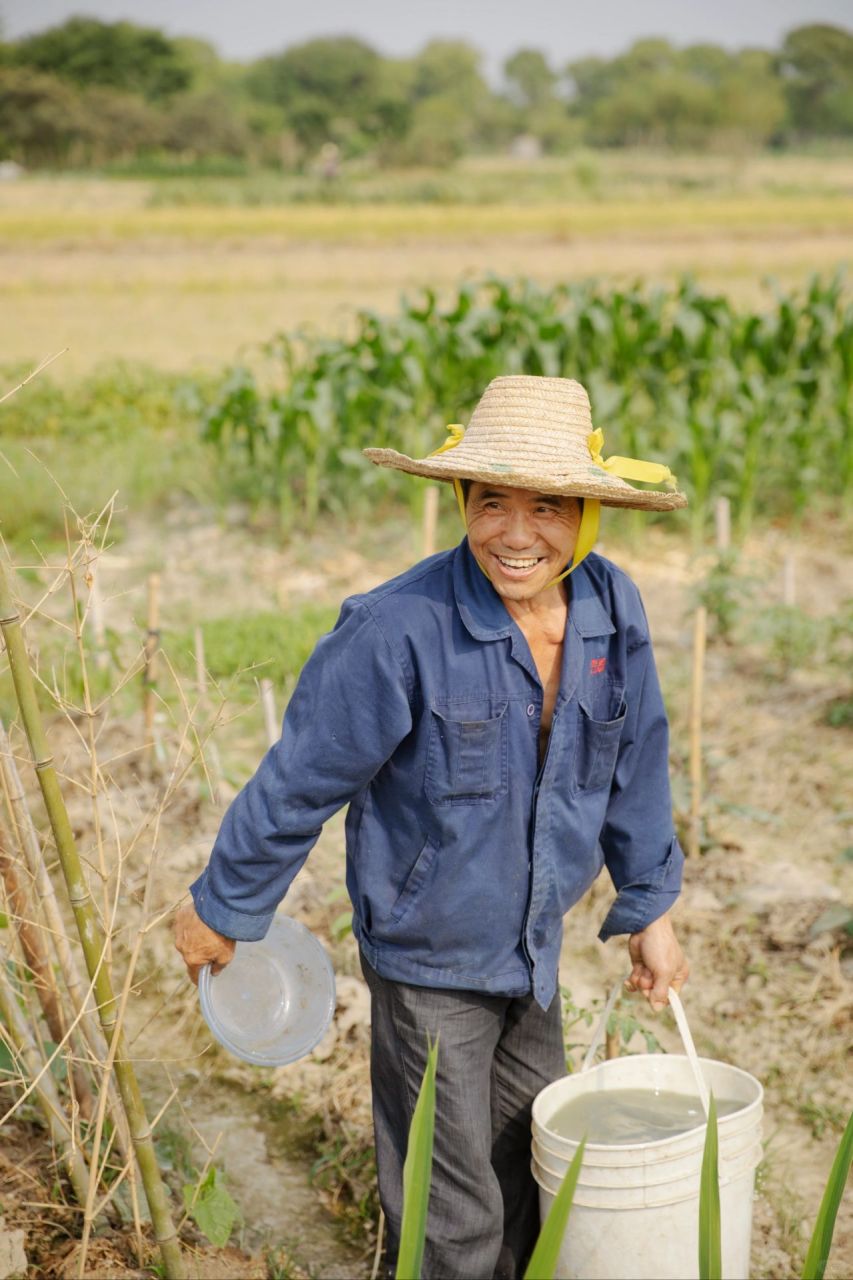 37℃高温农民伯伯顶着烈日劳作/致敬劳动者  人文纪实  每一刻的弯腰 