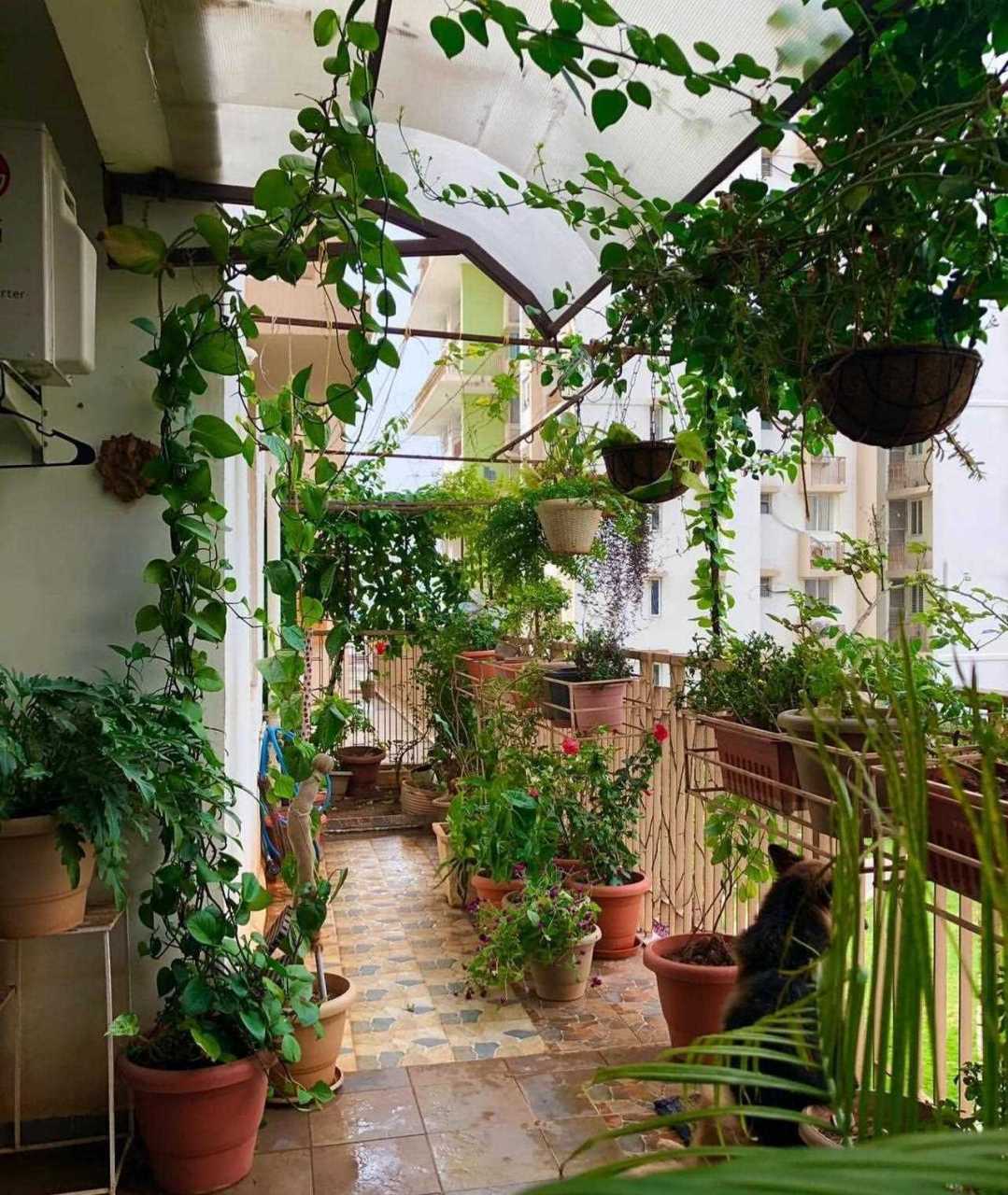 [笑][哼] 小阳台也可以拥有花园,封闭阳台也不例外.