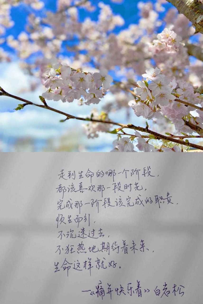 抄书打卡[已阅] 今天摘抄白岩松的《痛并快乐着》 当我们对生活的期望