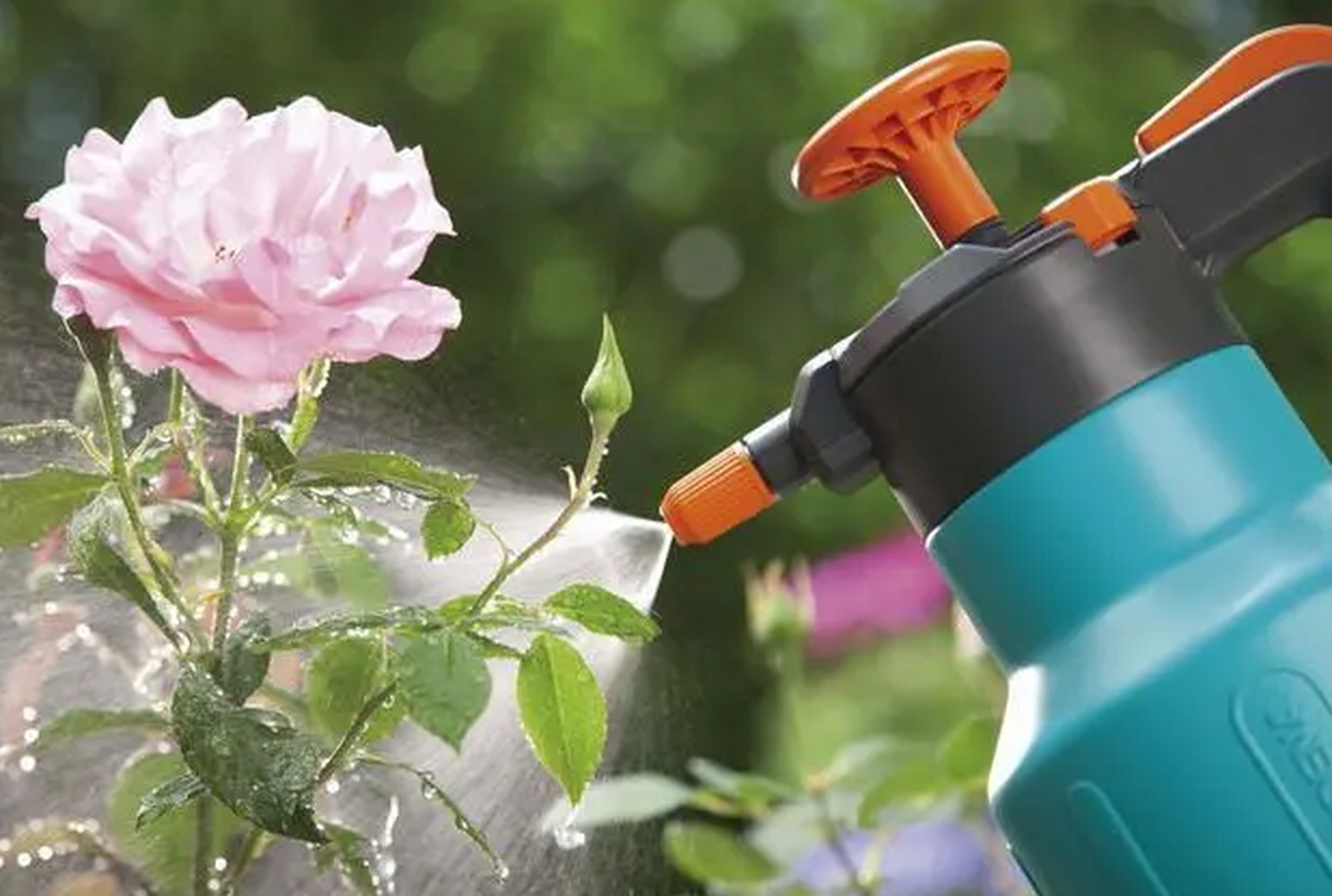 以下是一些关于给花草浇水的建议: 1.