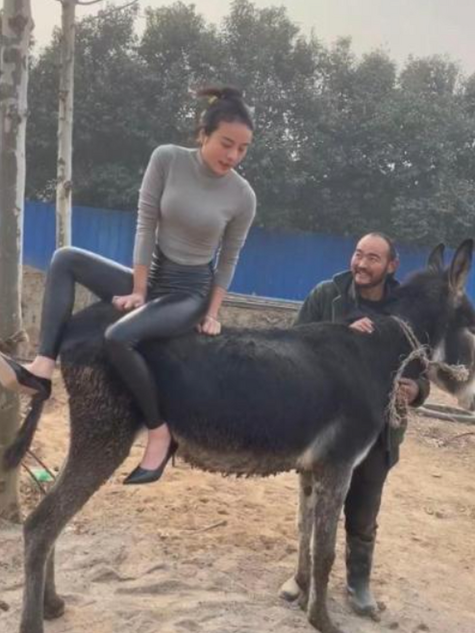 美女骑驴,大哥眼神好像在说什么