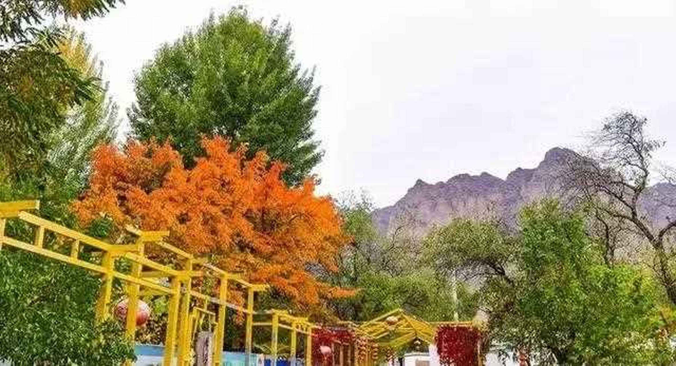 最美乡村甘肃省景泰县中泉镇龙湾村,黄河蜿蜒,石林耸峙,清静的村廓