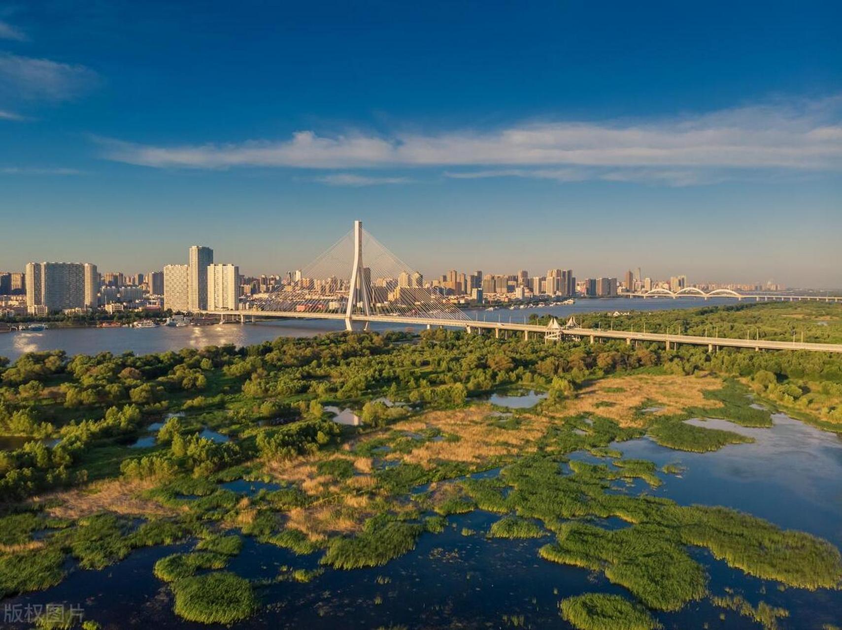 哈尔滨夏天的温度像南方的秋天,街道上吹来的风像南方10月份大雨