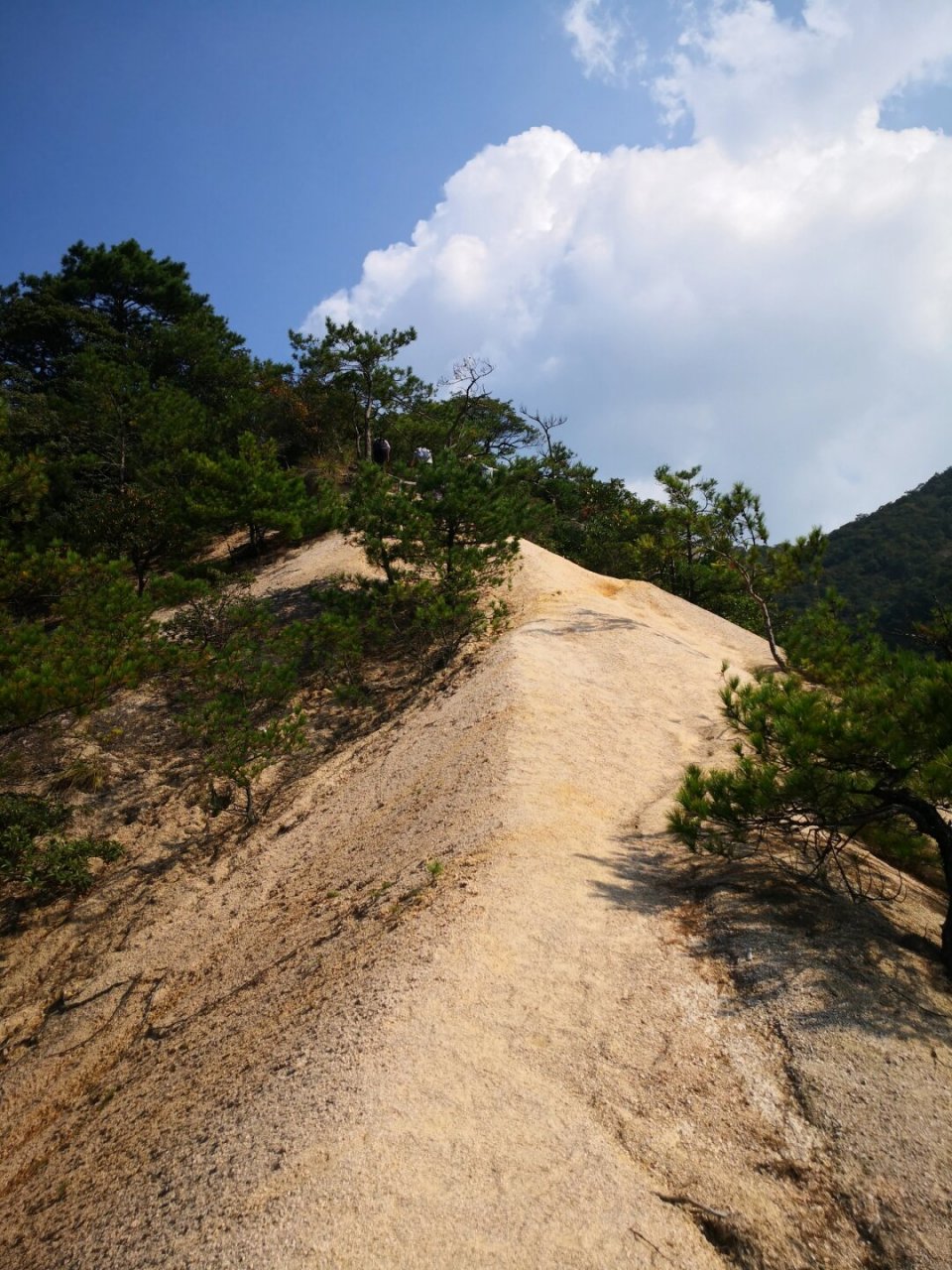 安徽绩溪龙须山,好玩有趣很惊艳  78徒步路线:龙须山,全程10.