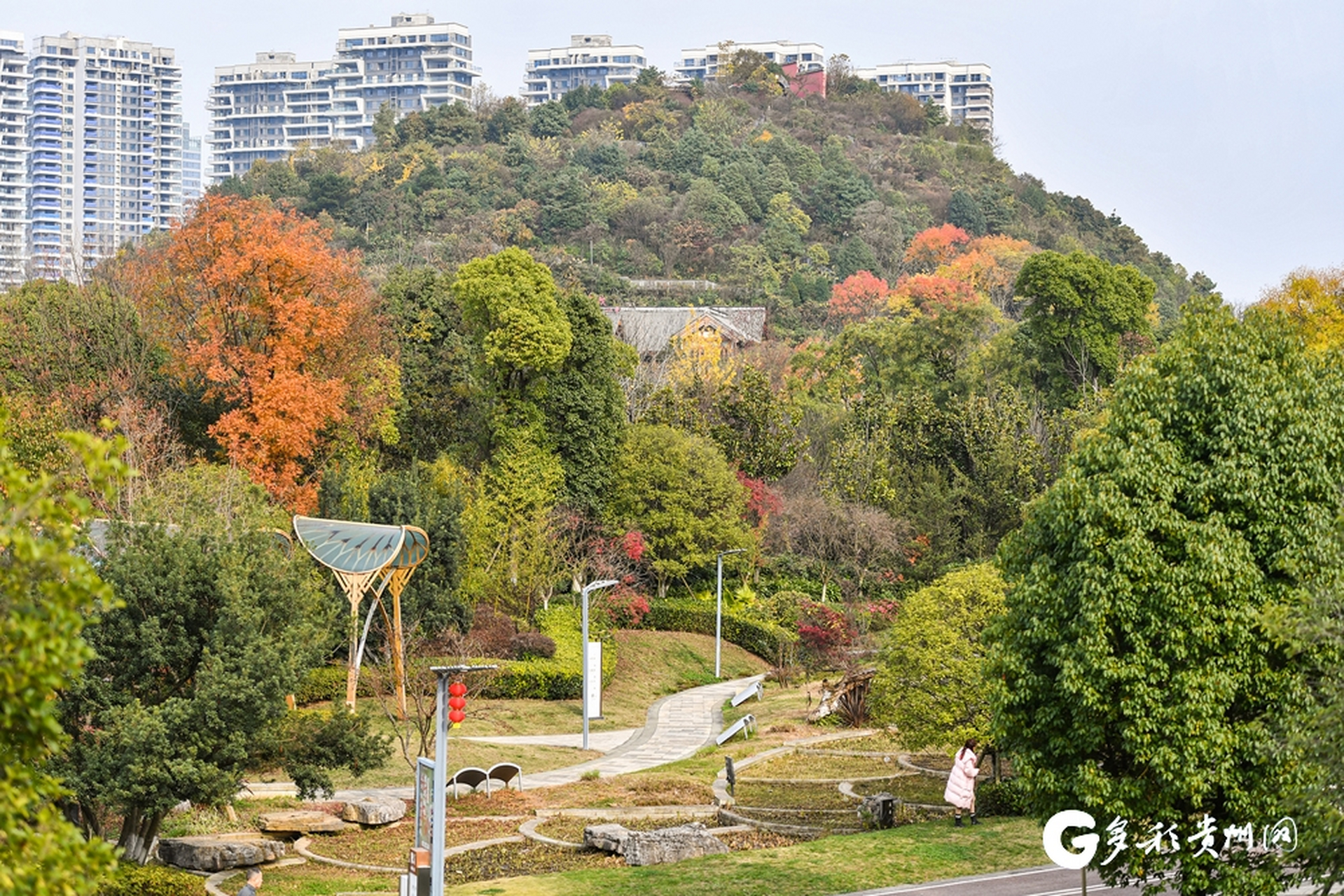 【到贵阳泉湖公园赏冬景】近日,贵州省贵阳市白云区泉湖公园山林渐染