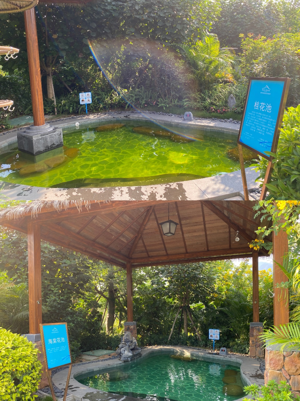 增城白水寨森林海海鲜自助晚 温泉 私湯 天然氧吧,广州出发1小时即达!