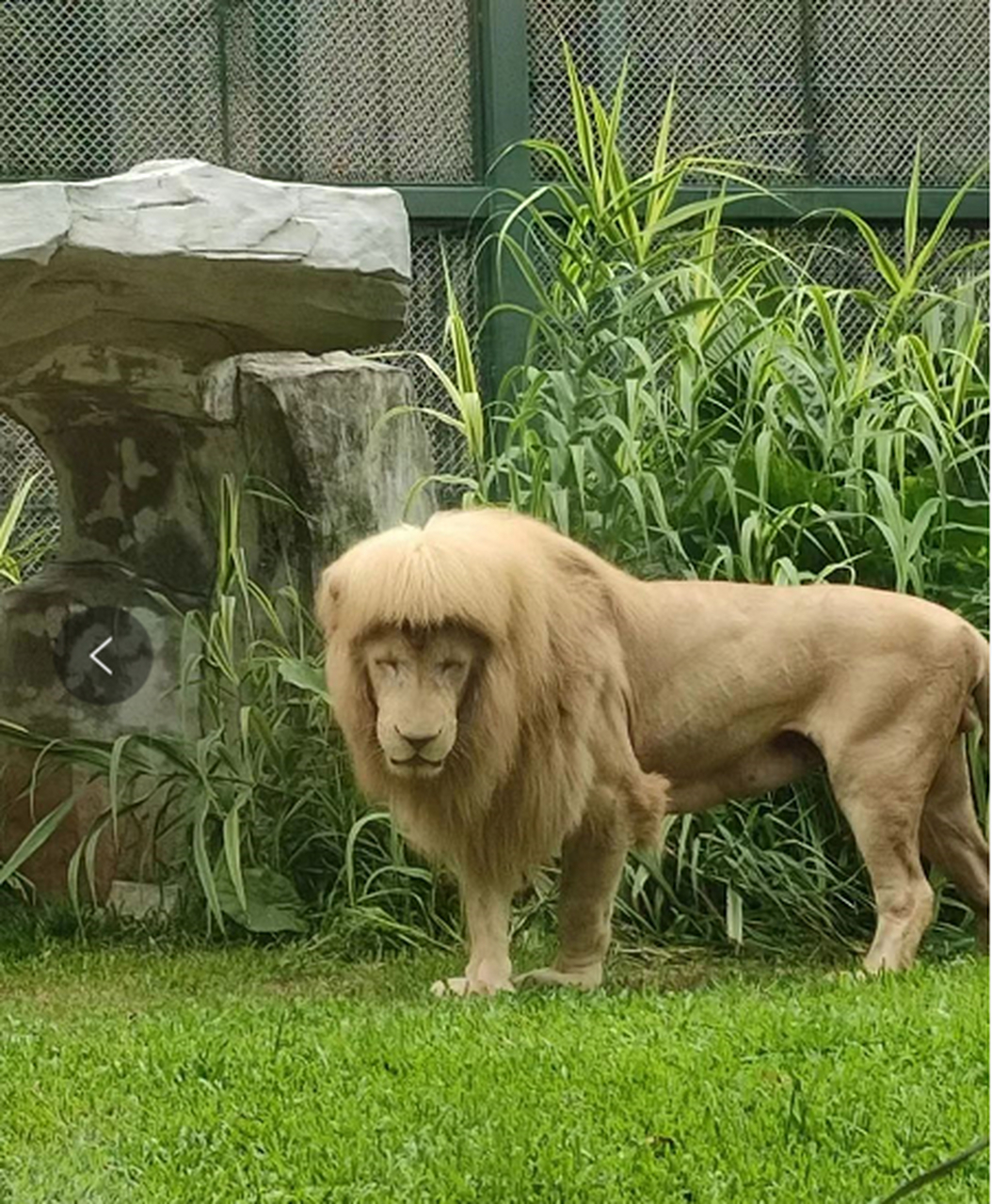 搞笑图片# 你成天拉拉个驴脸,你有啥烦心事啊?