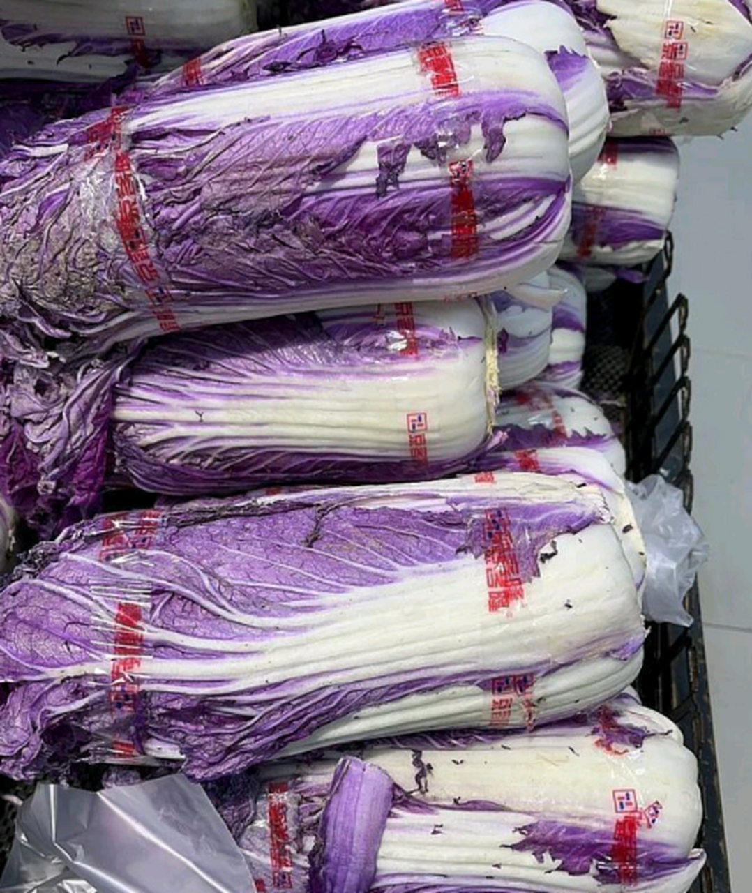 白菜竟然有紫色的,你吃过吗