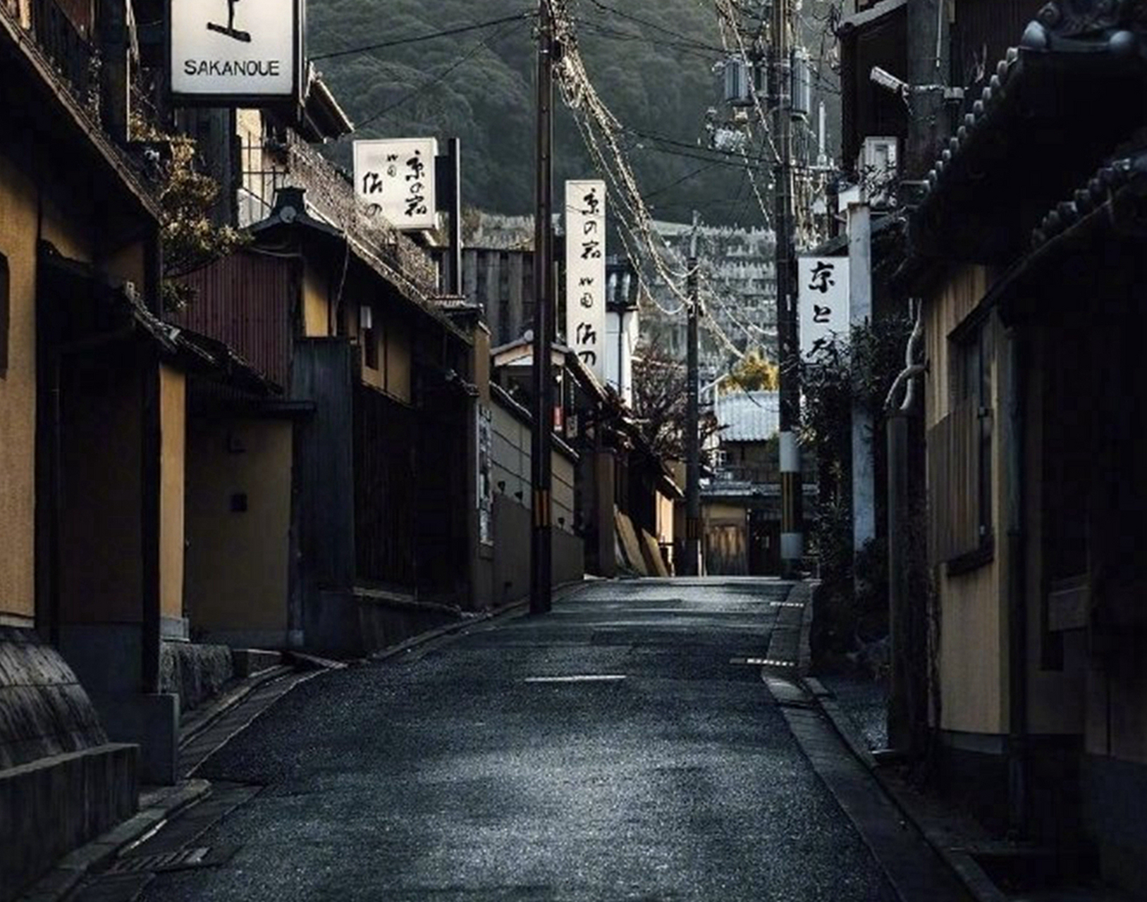 全是伶伶俐俐小小巧巧婷婷袅袅