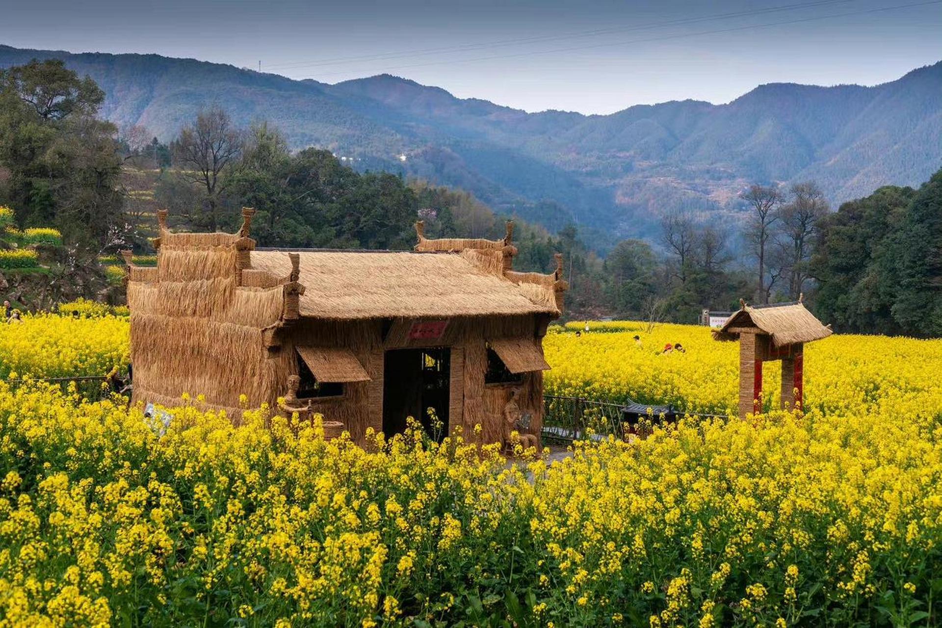 我们是个讲究善有善报恶有恶报的民族,大家都相信积德行善终有好报.