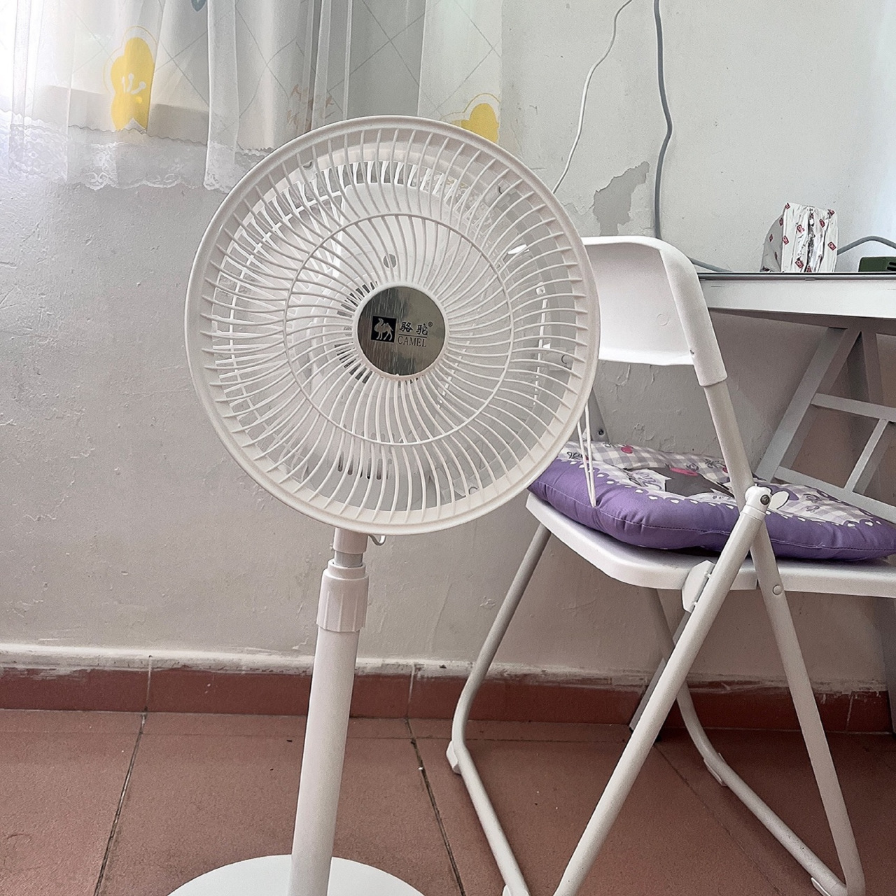 骆驼电风扇家用台式空气循环扇落地扇静音大风力立式涡轮对流电扇