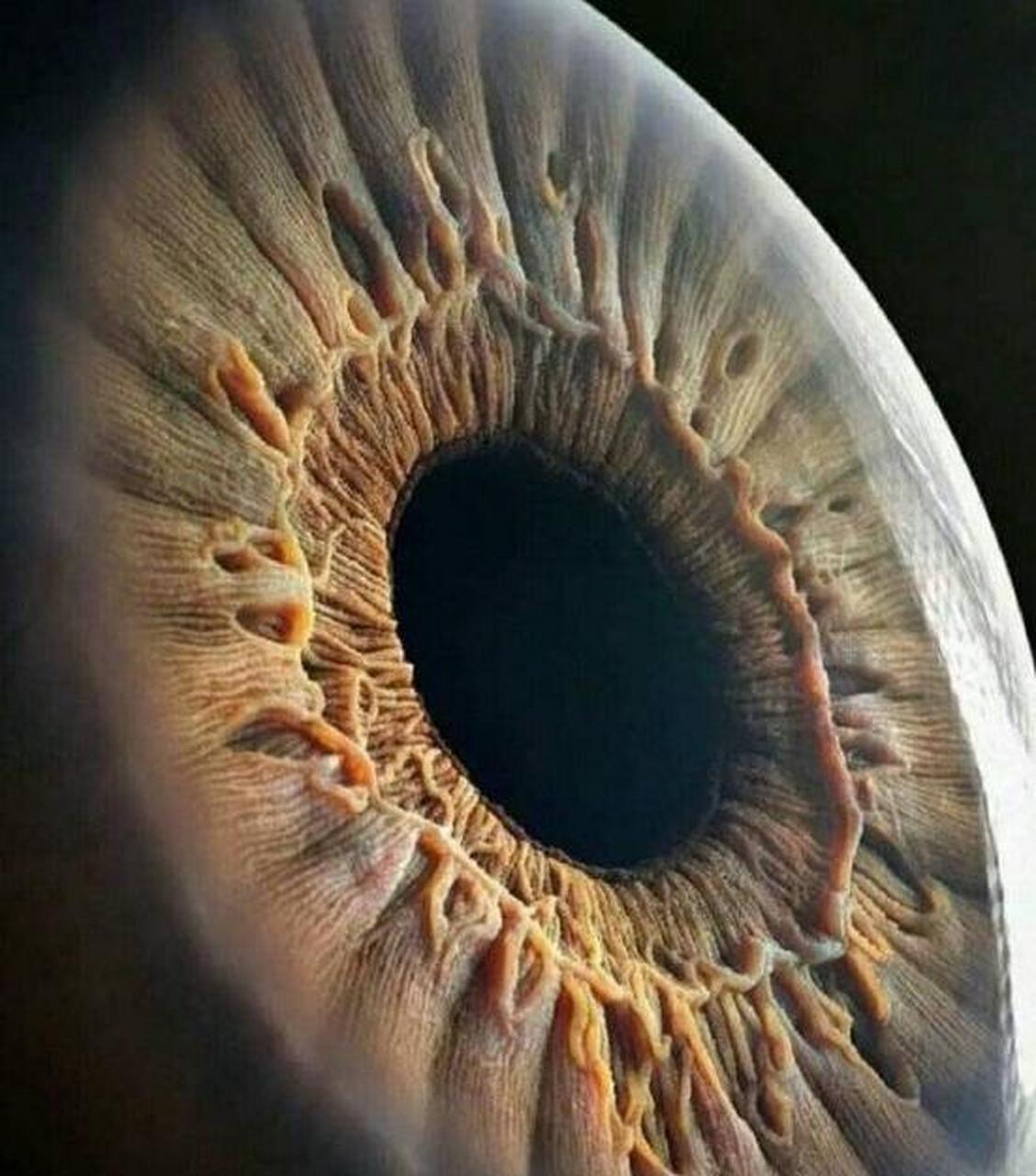下面这张图是人类眼睛瞳孔放大后特写,是不是很震惊,又带有一丝的恐怖