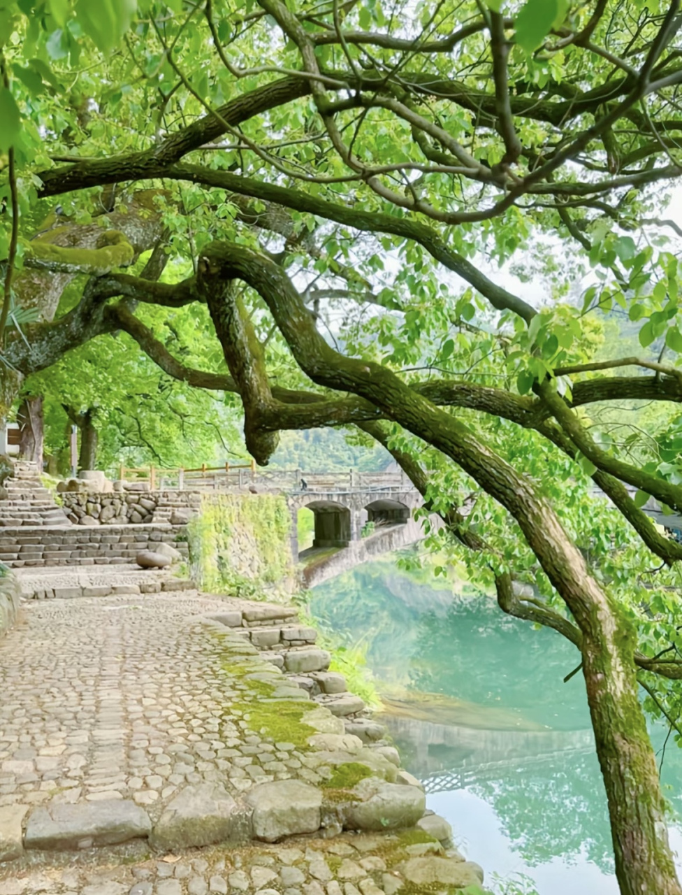 茅坪村,是浙江省杭州市桐庐县富春江镇下辖村,位于桐庐县西南,富春江