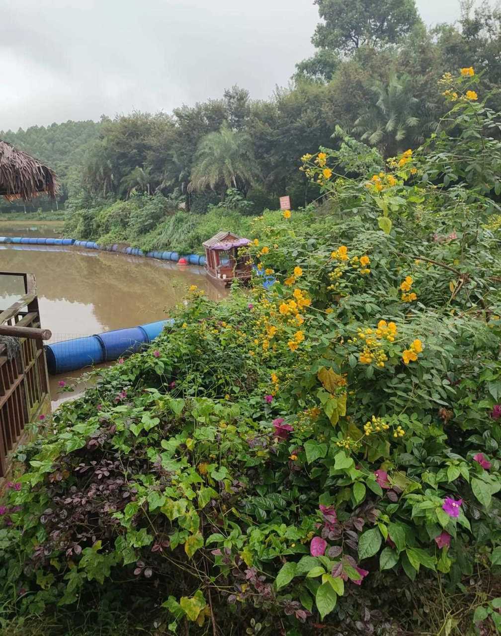 重庆铜梁区奇彩梦园,门票30元,风景不错,花还在栽种阶段,现在去游玩的