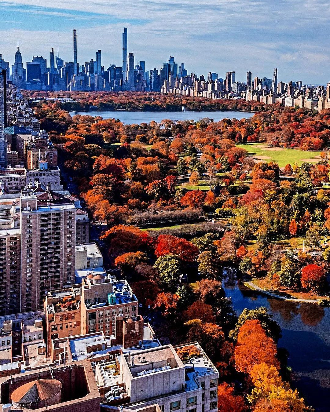 太美了,纽约中央公园的秋色!