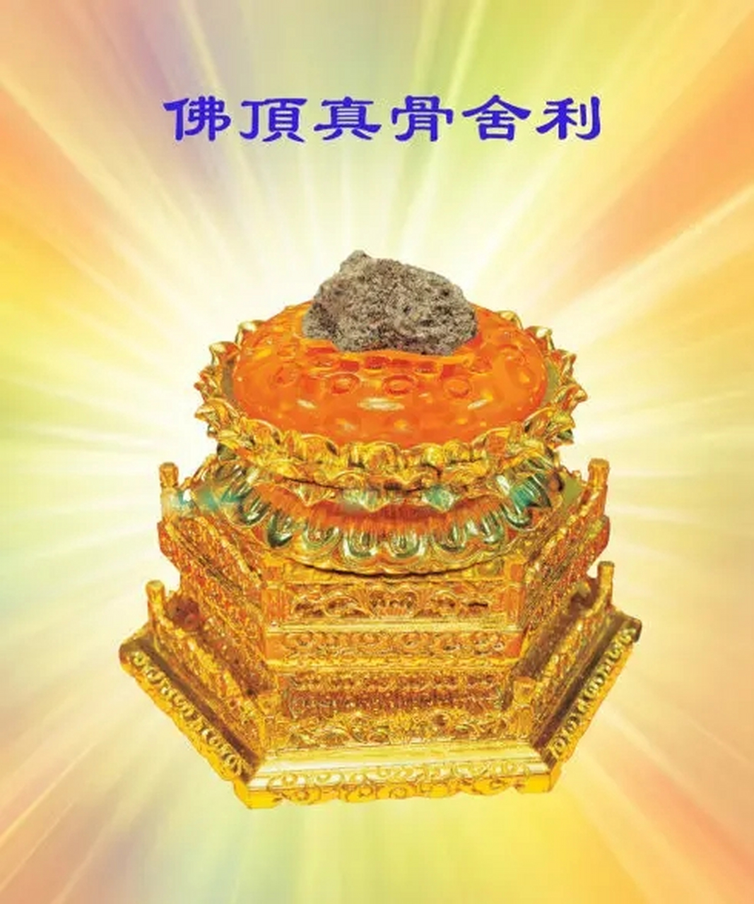 至高无上的佛祖舍利之谜 至高无上的佛祖舍利之谜,一般来说人死之后