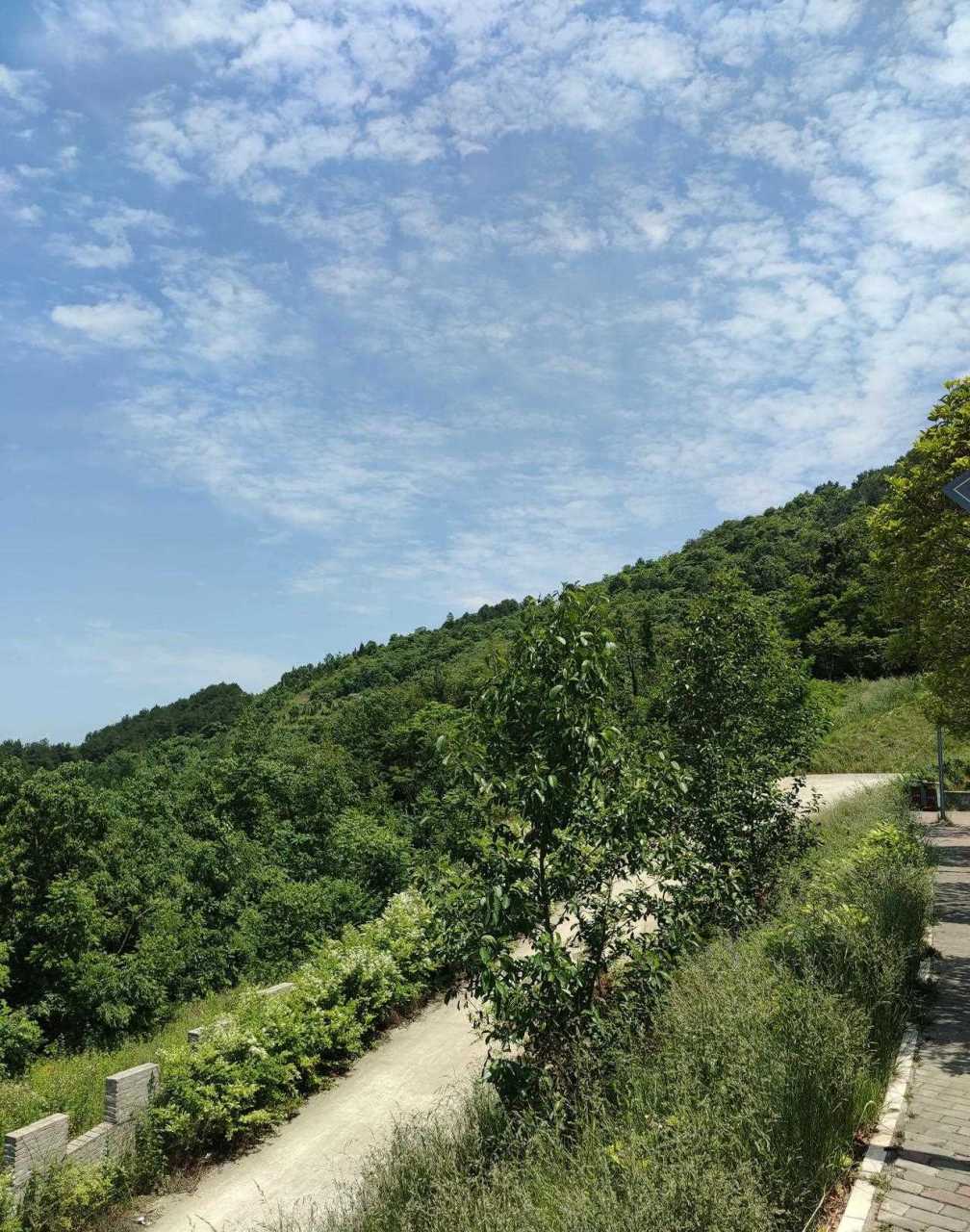 汉中的天气晴朗,登上汉山南郑尽收眼底,蓝天白云下的汉山风景格外美.