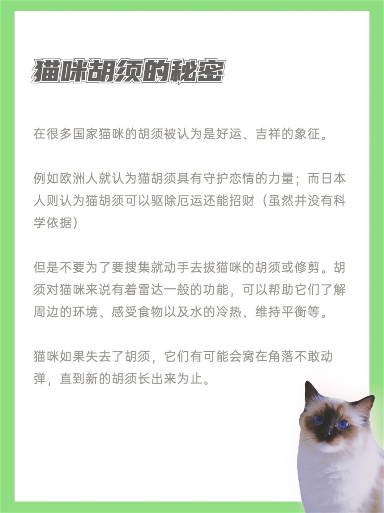 在很多国家猫咪的胡须被认为是一种好运和吉祥的