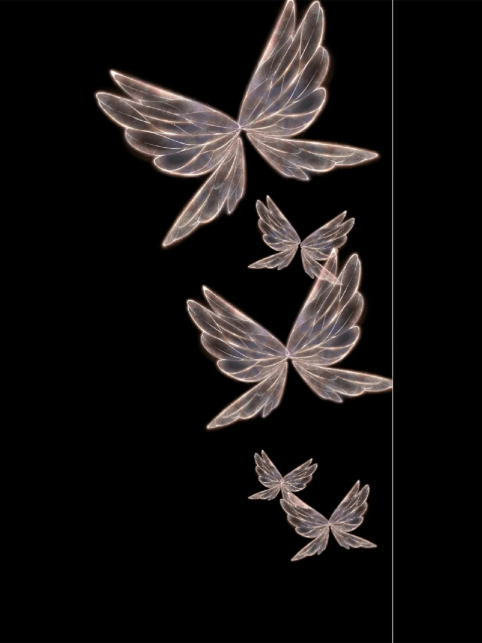 蝴蝶壁纸 超级nice 蝴蝶系壁纸