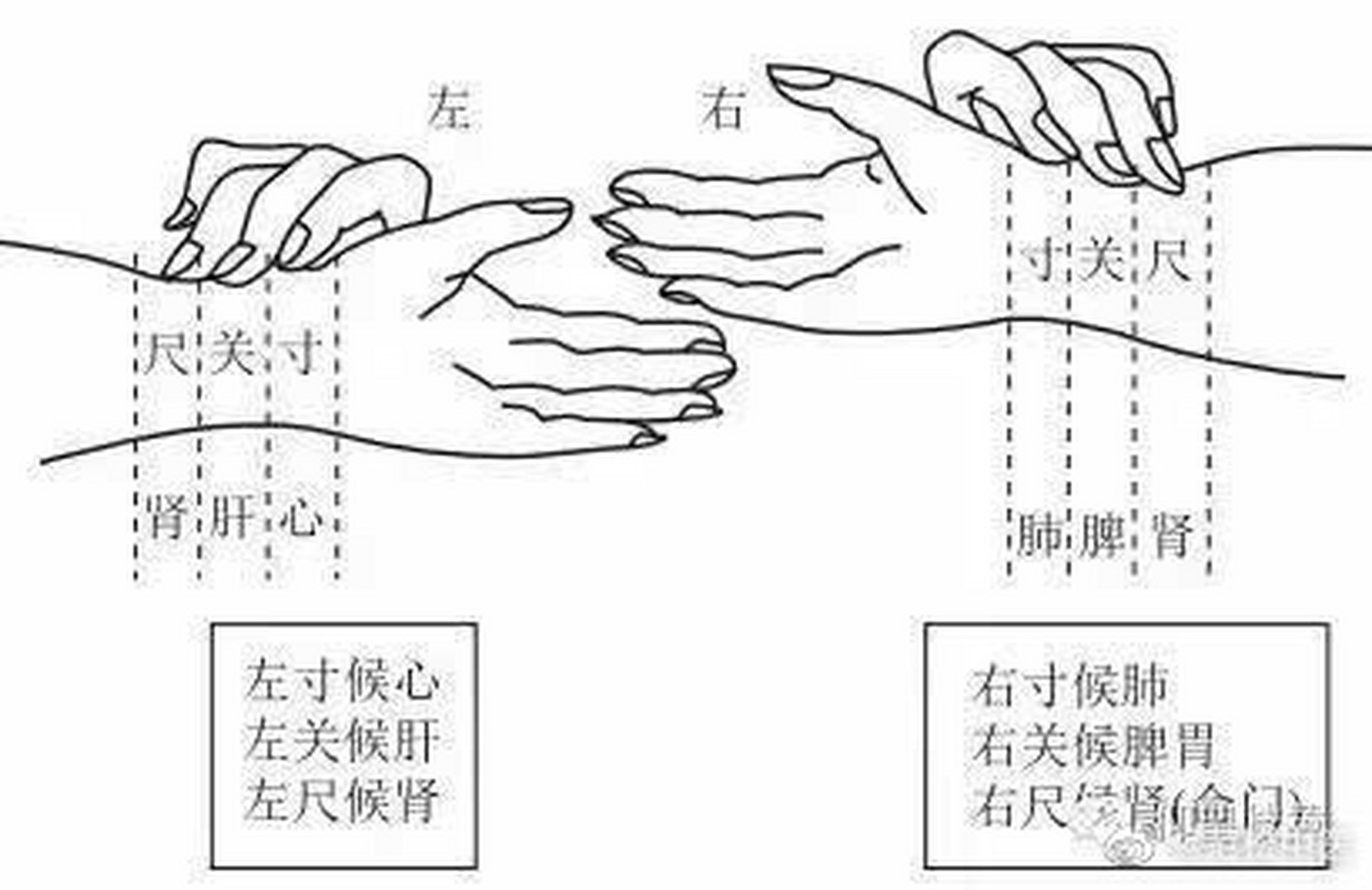 中医脉诊;涩脉主病;涩脉;形容患者脉相,细而迟,往来艰难,如轻刀刮竹